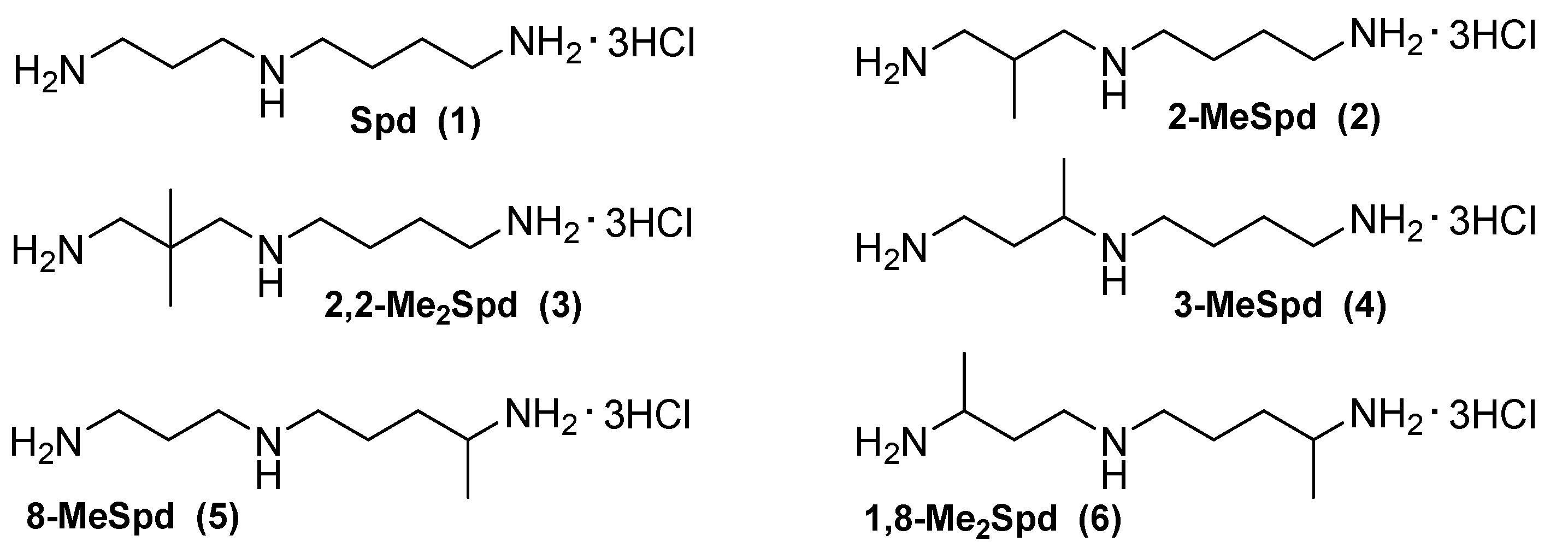 Biomolecules 13 00916 g001