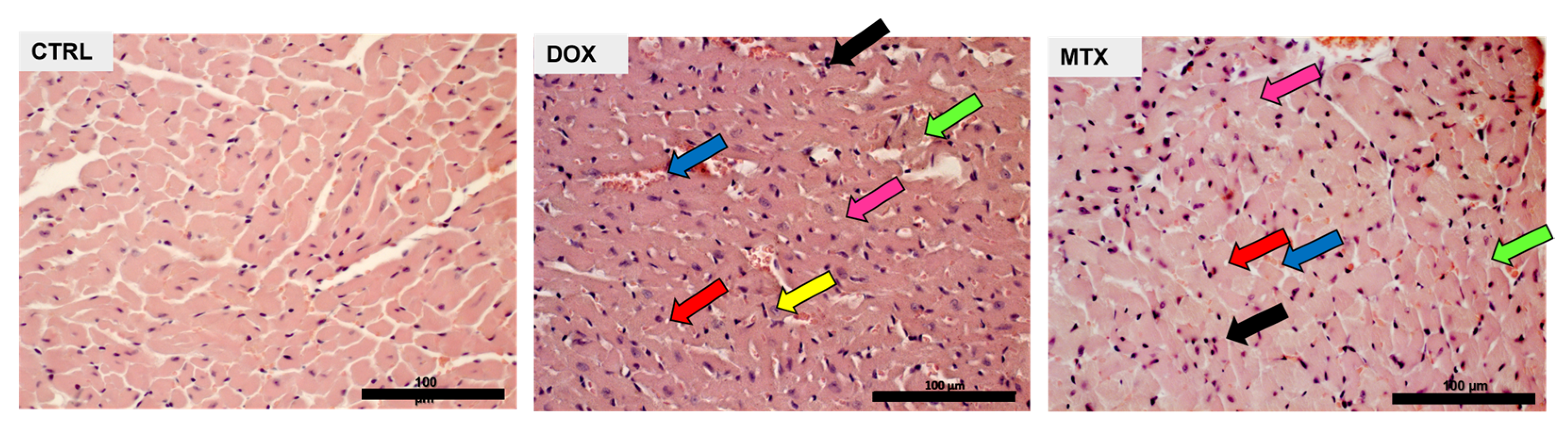 Biomolecules 13 00921 g001