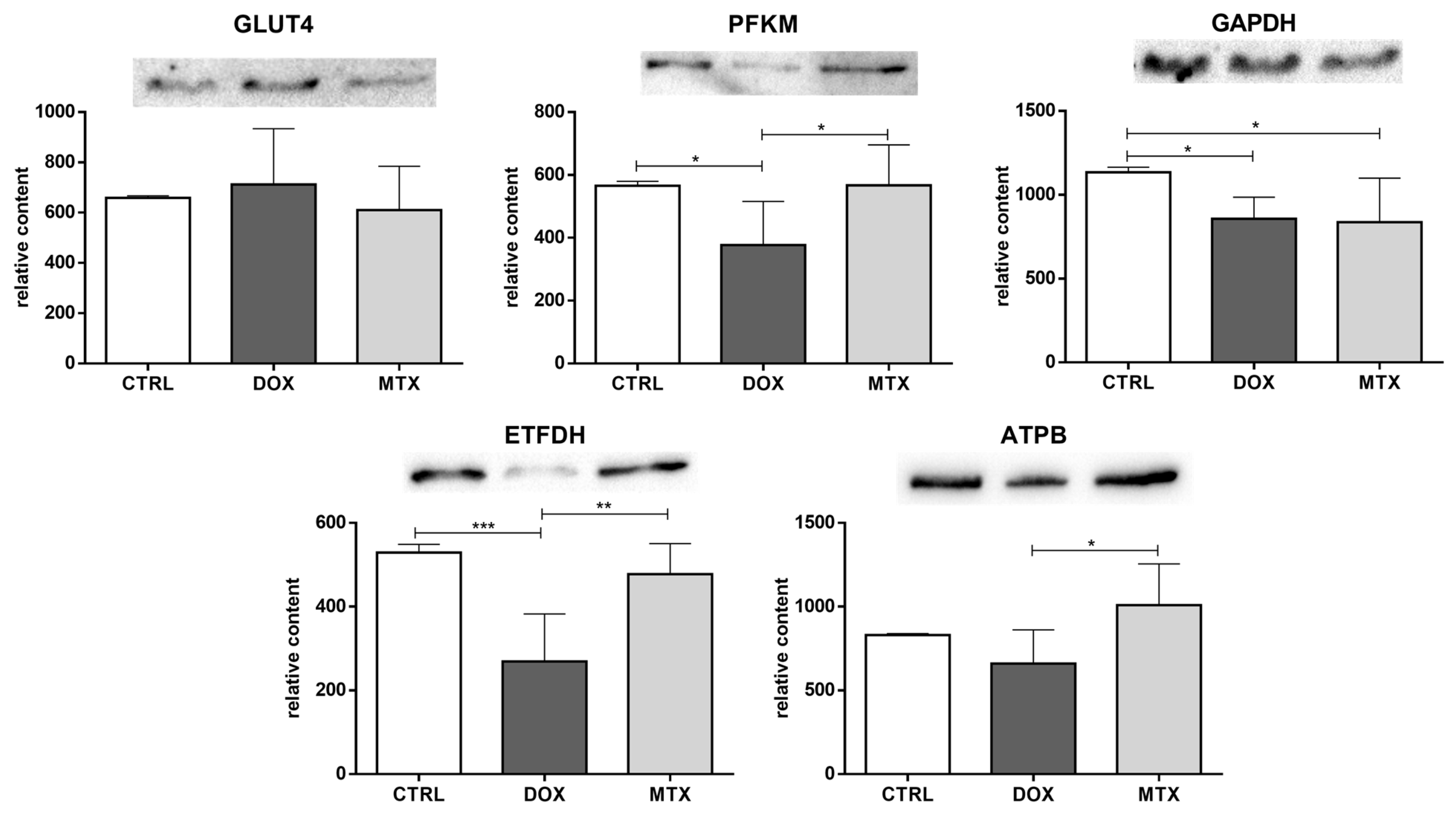 Biomolecules 13 00921 g002