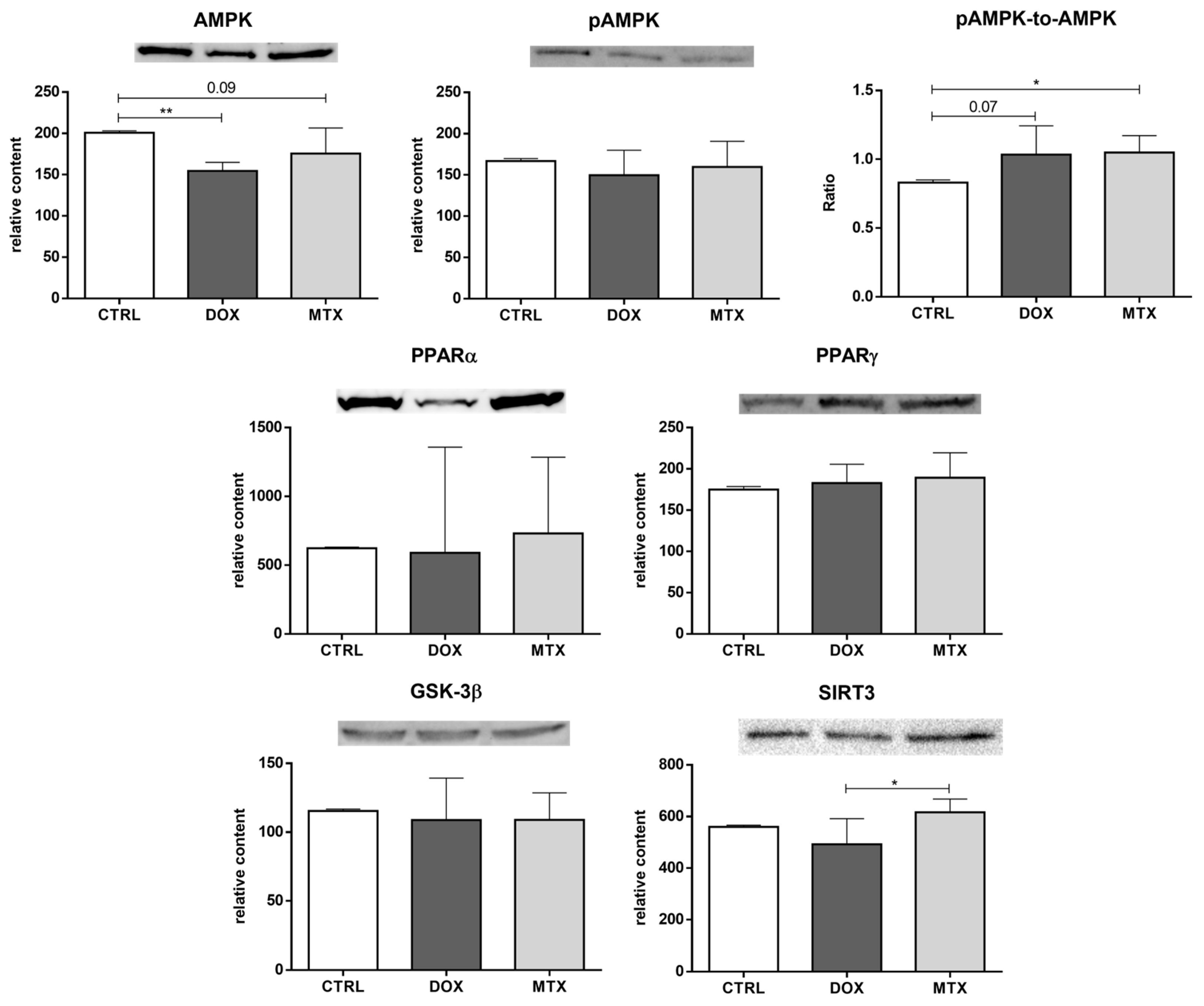 Biomolecules 13 00921 g006