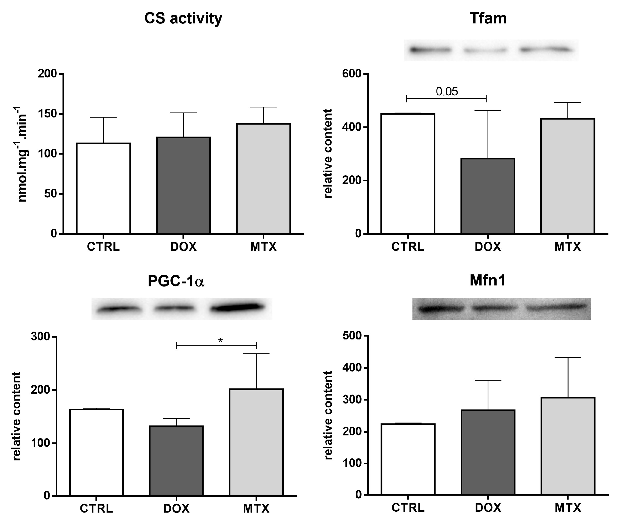 Biomolecules 13 00921 g007