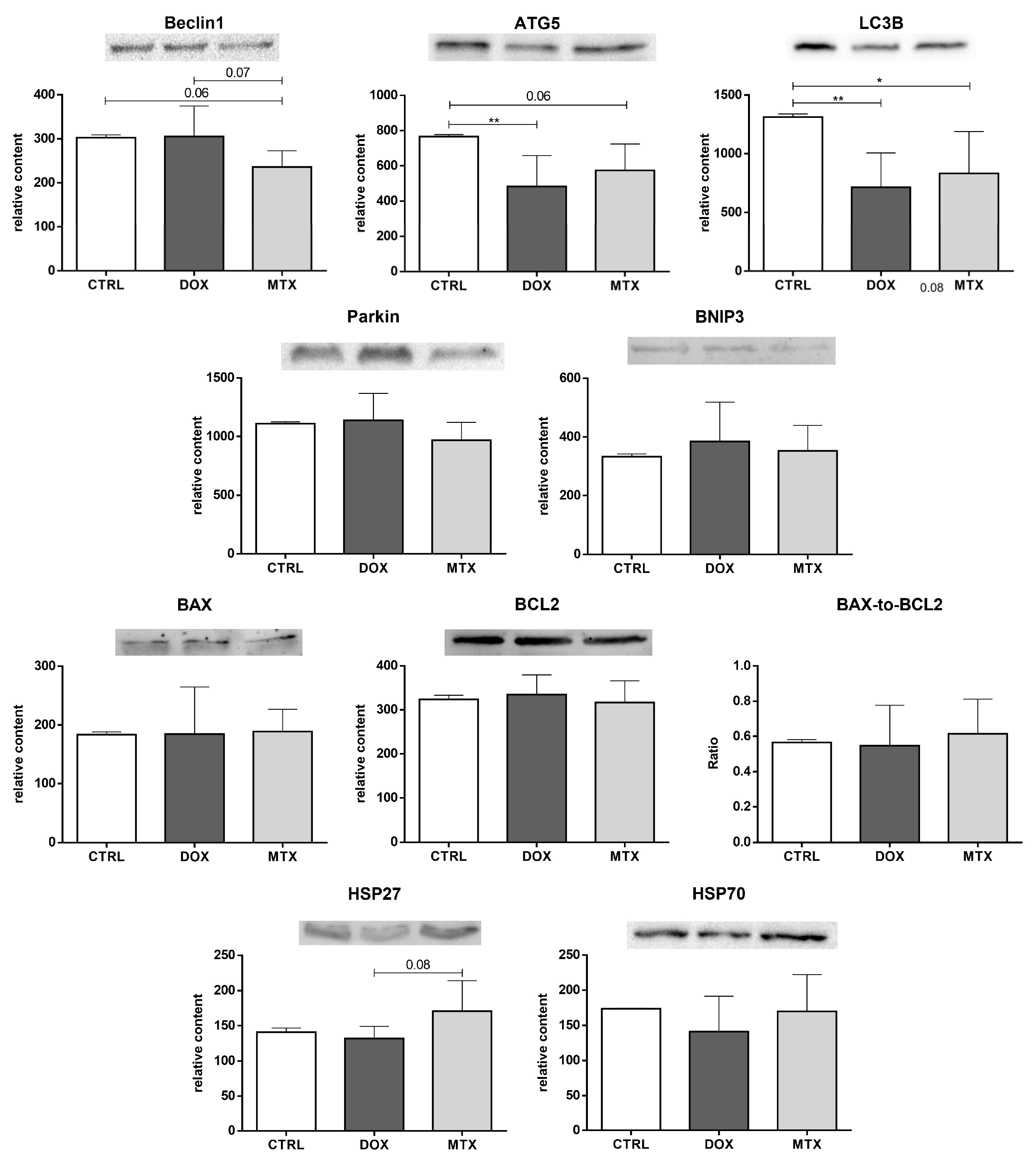 Biomolecules 13 00921 g008