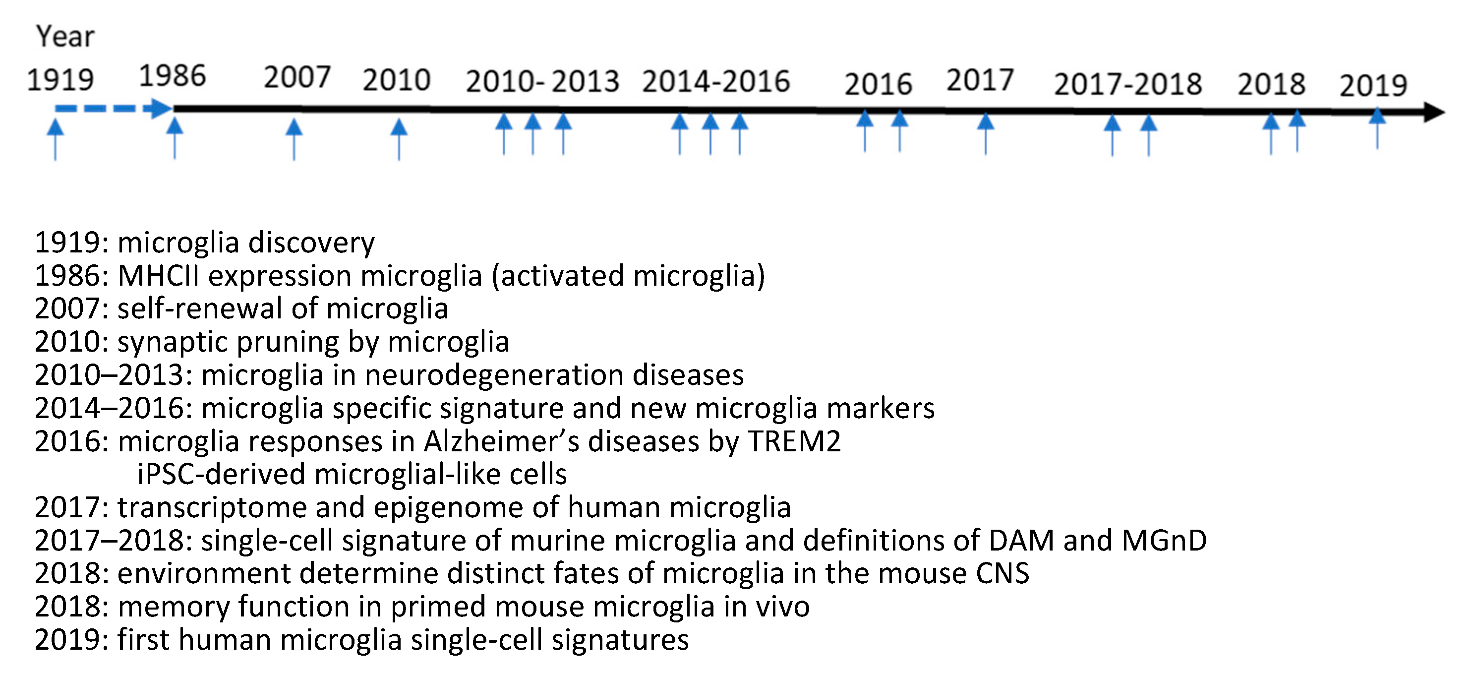 Biomolecules 13 00922 g001 Biomolecules 13 00922 g001