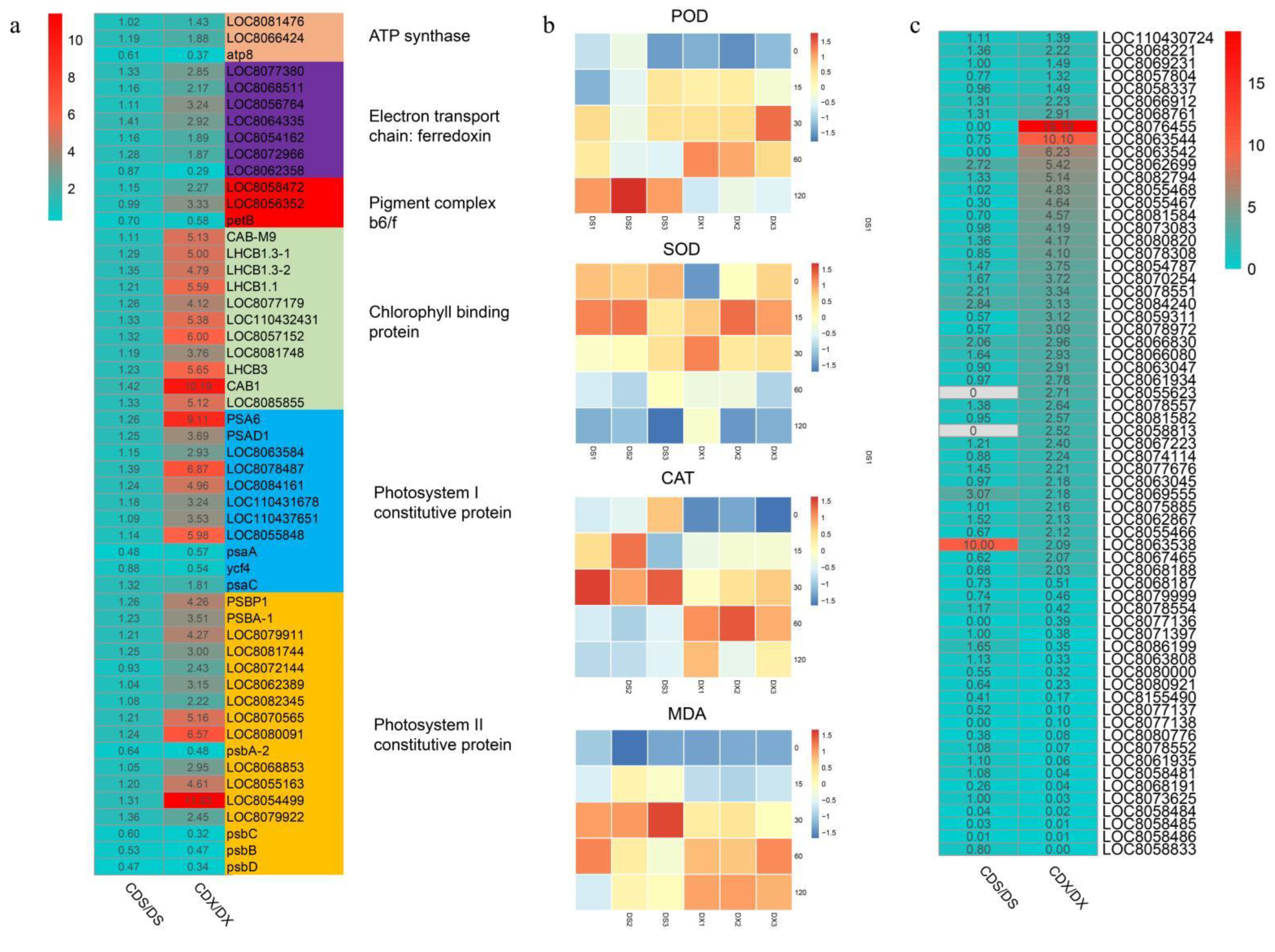 Biomolecules 13 00925 g003 Biomolecules 13 00925 g003