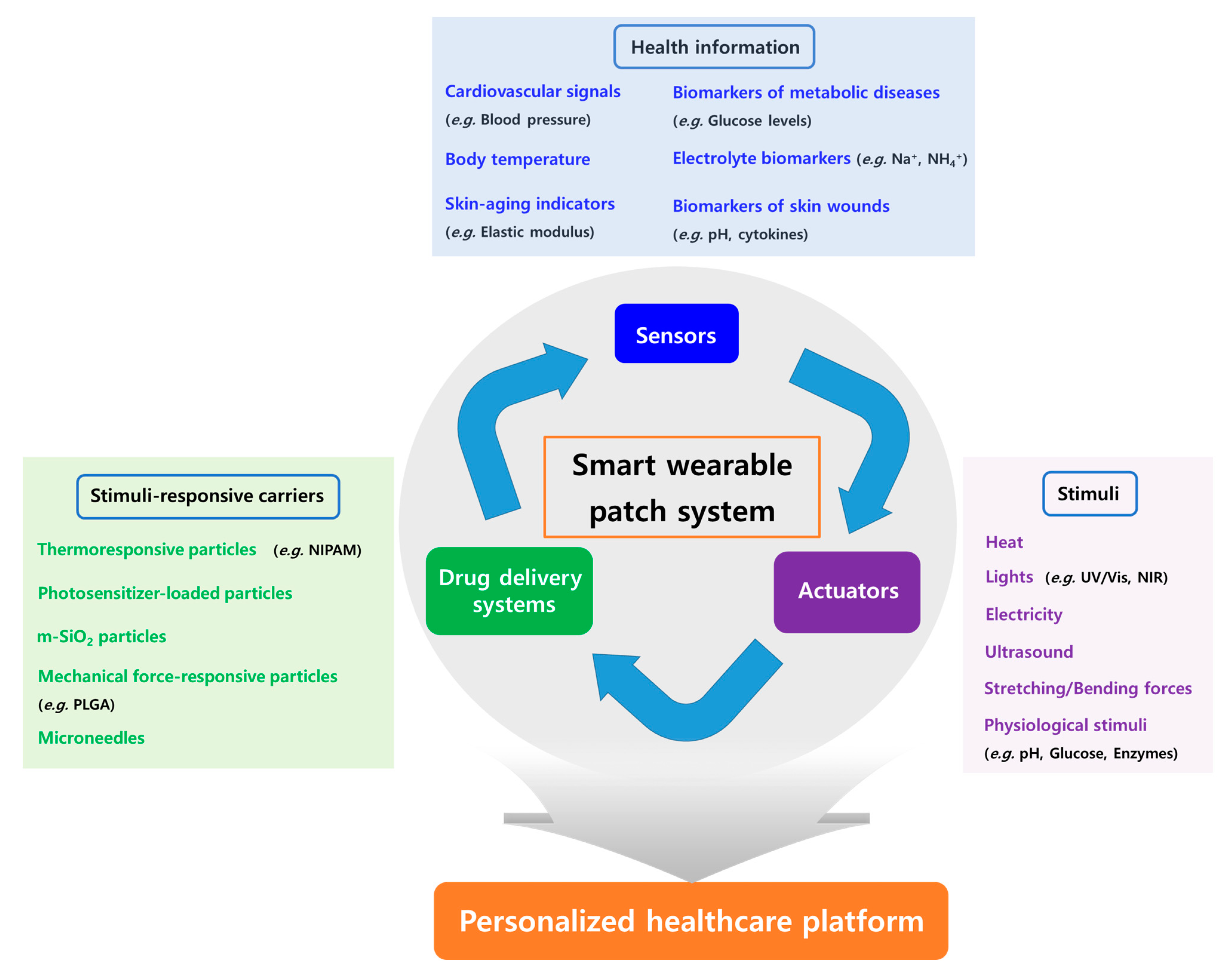 Biomolecules 13 00929 g001