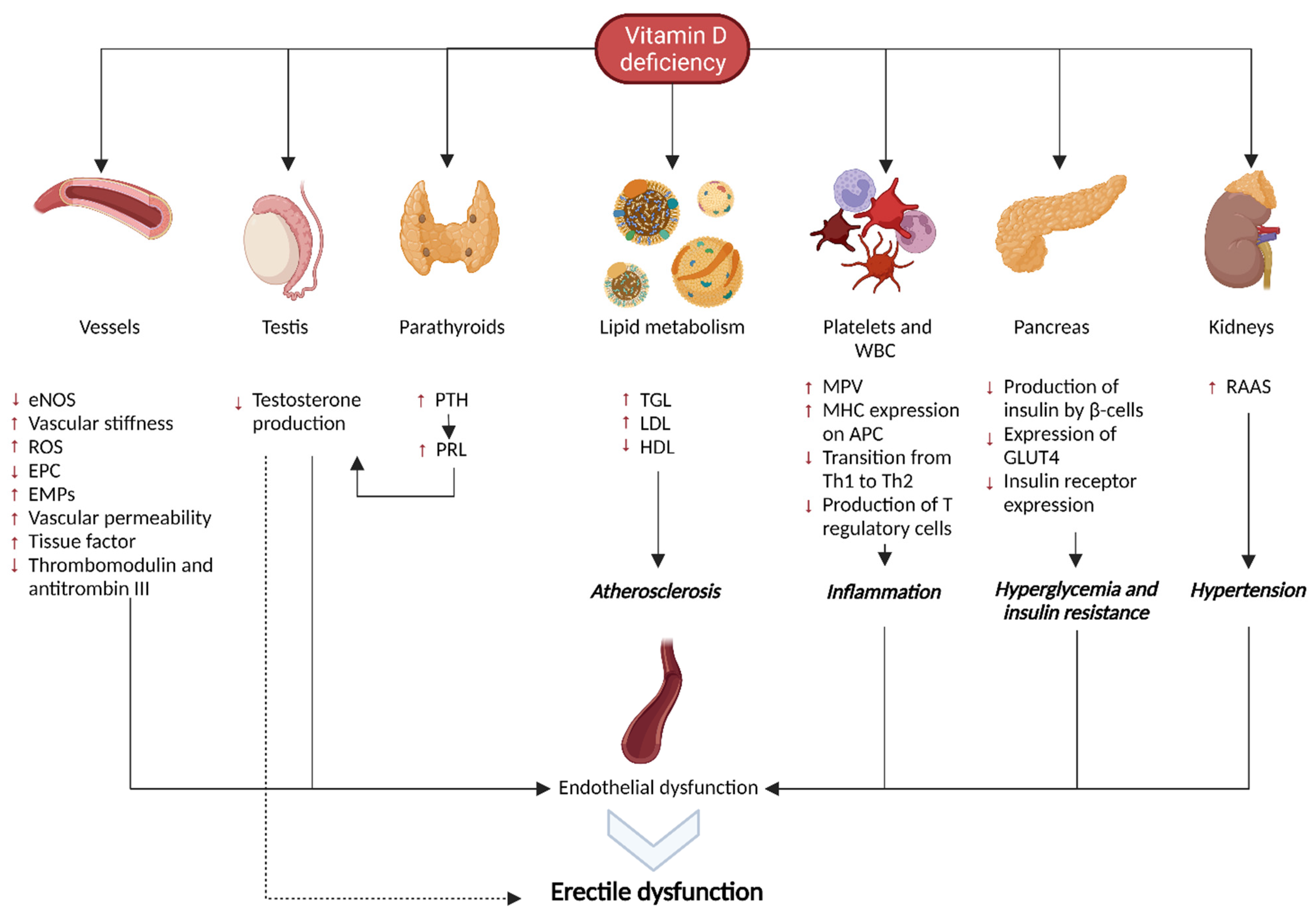 Biomolecules 13 00930 g001 Biomolecules 13 00930 g001