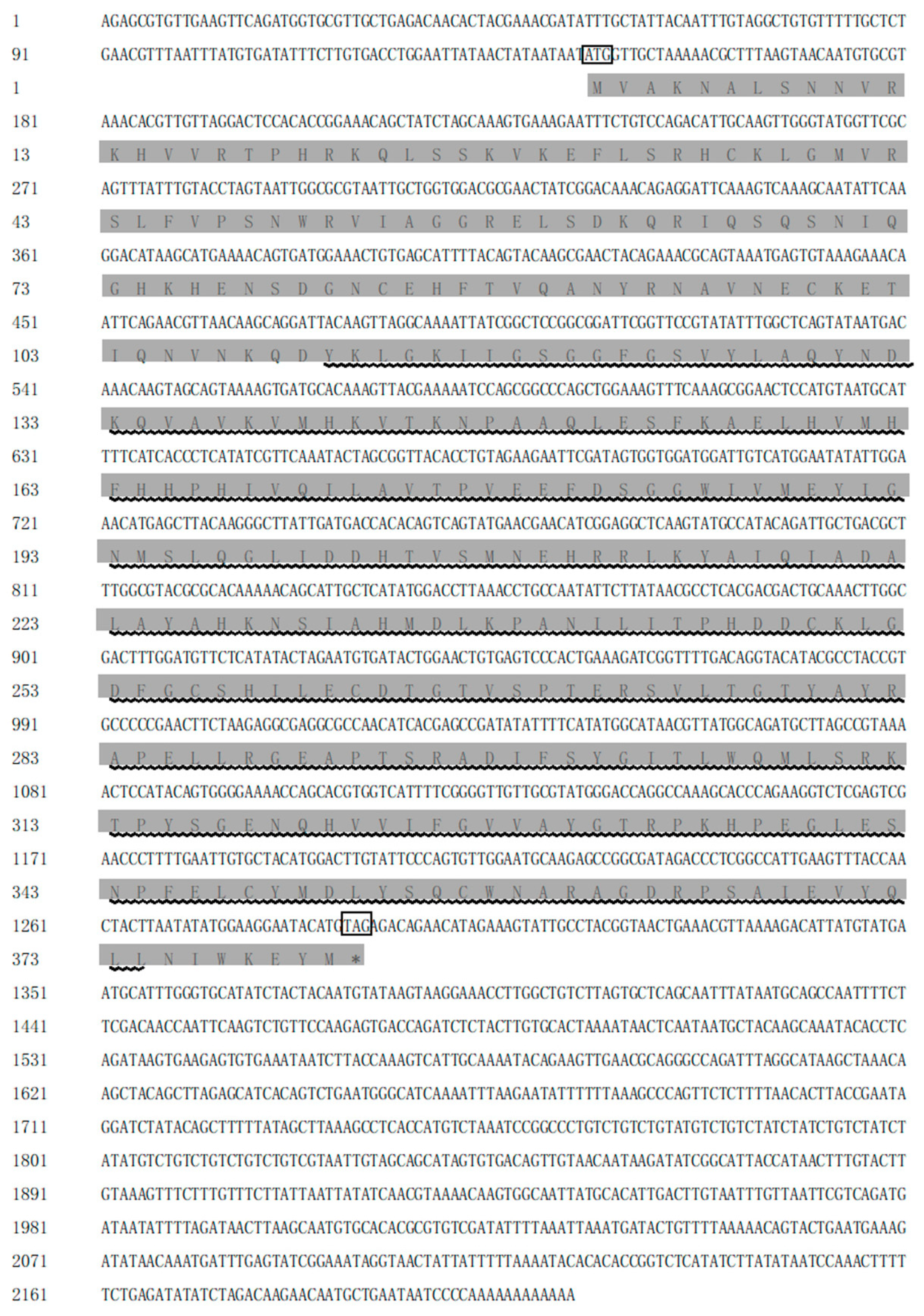 Biomolecules 13 00931 g001