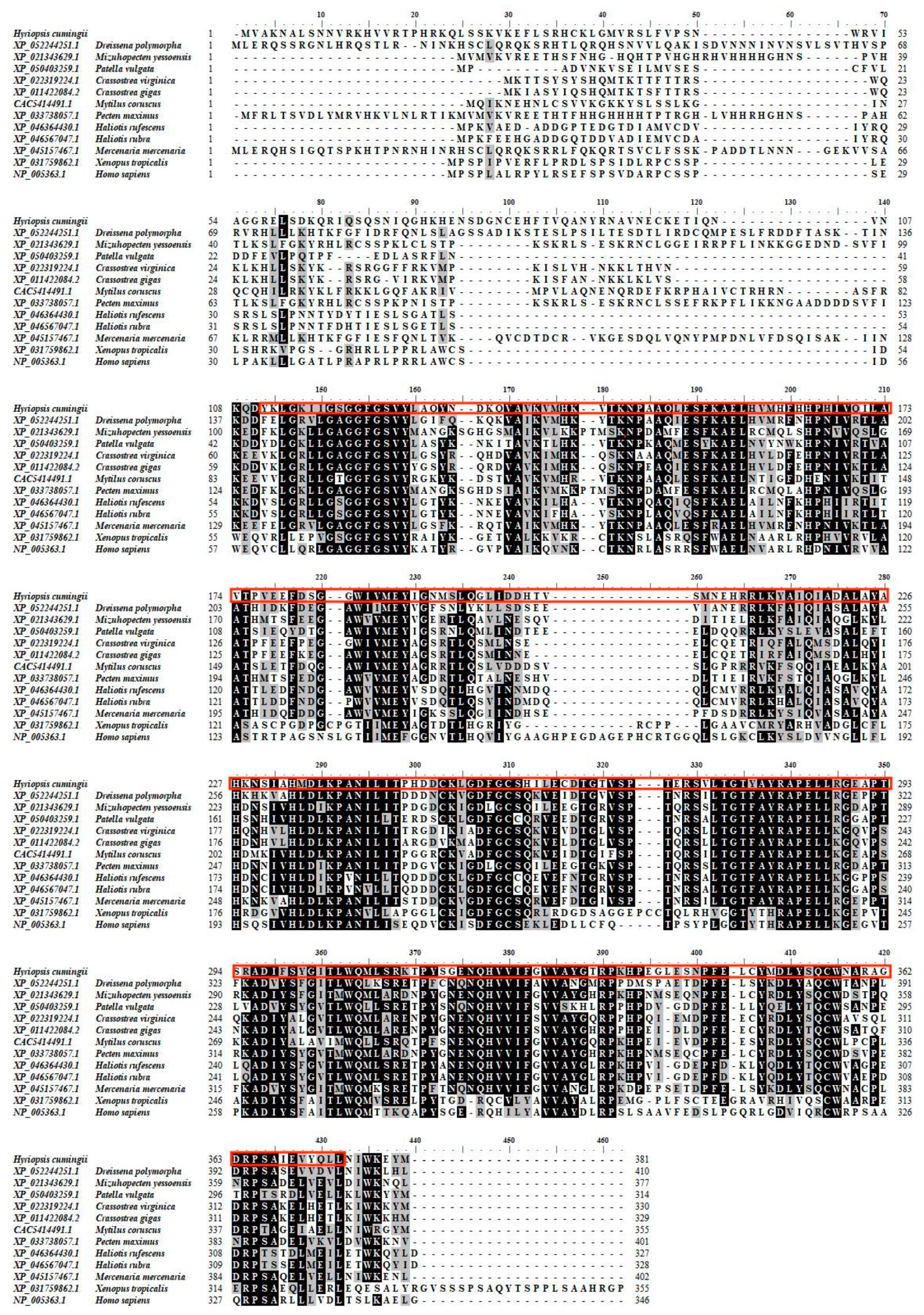 Biomolecules 13 00931 g004