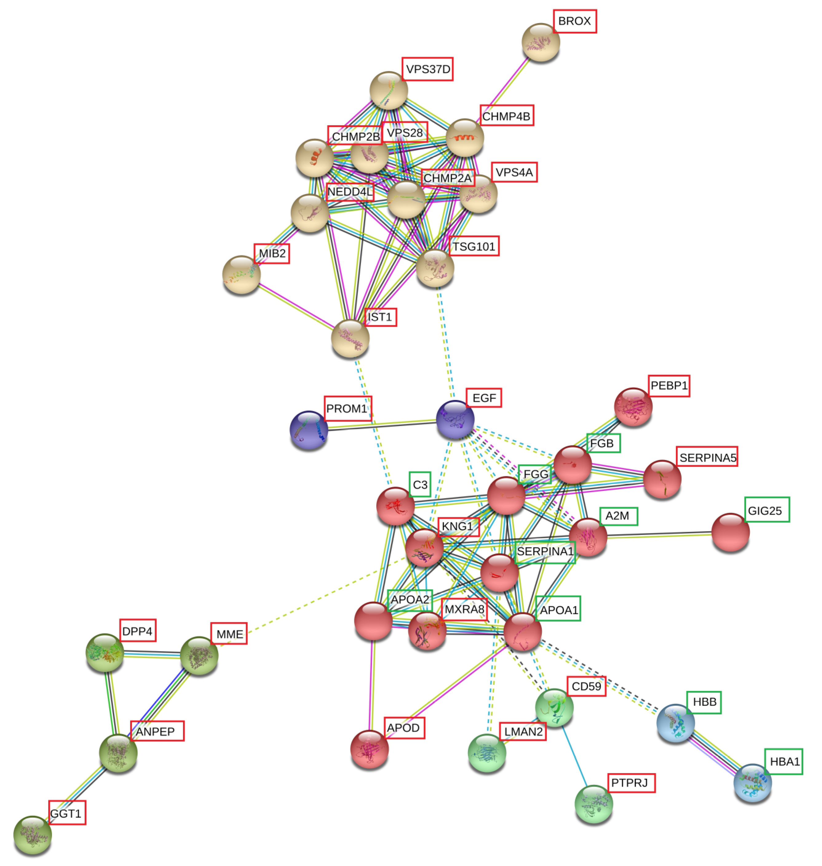 Biomolecules 13 00932 g003