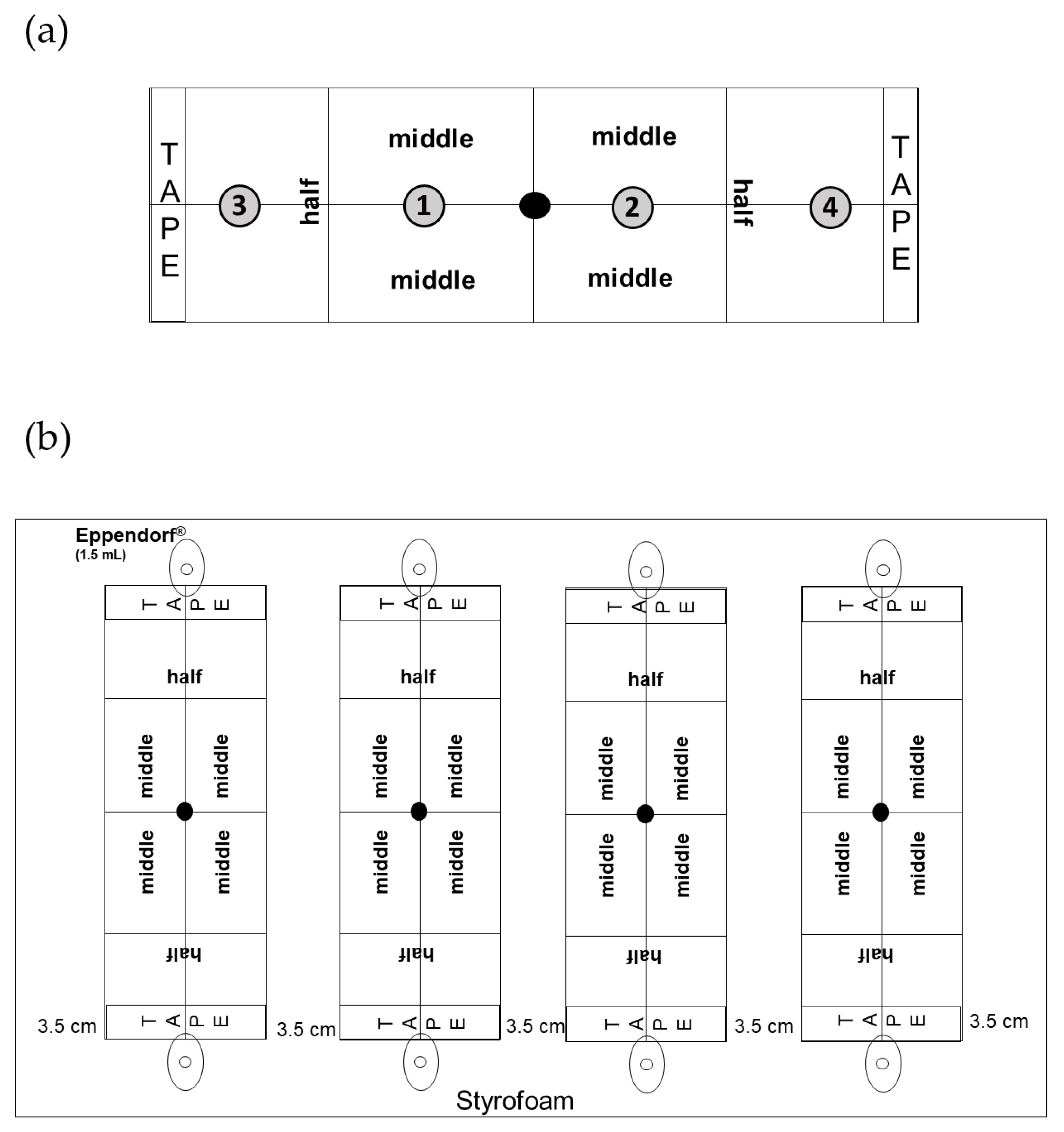 Biomolecules 13 00933 g001