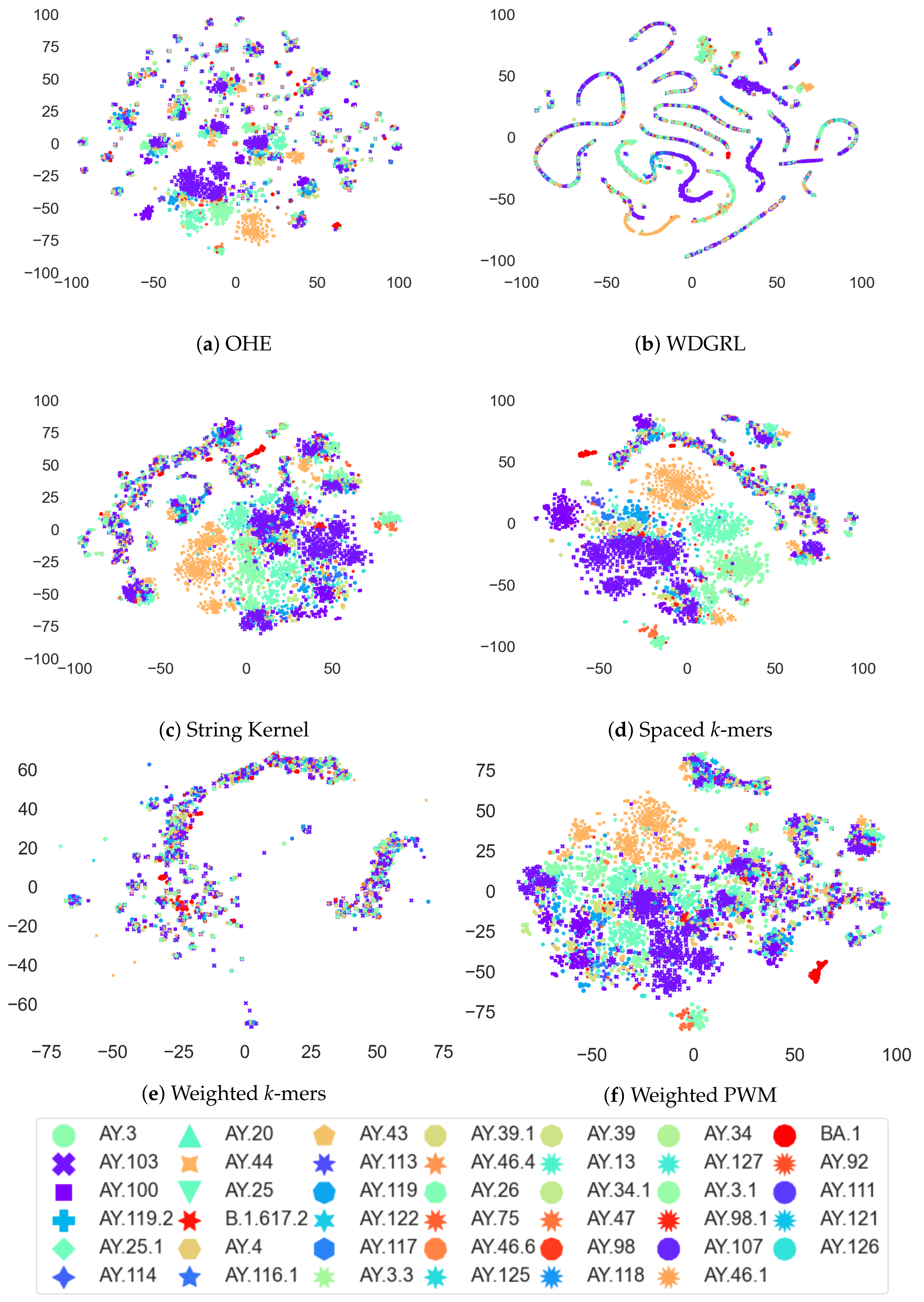 Biomolecules 13 00934 g006