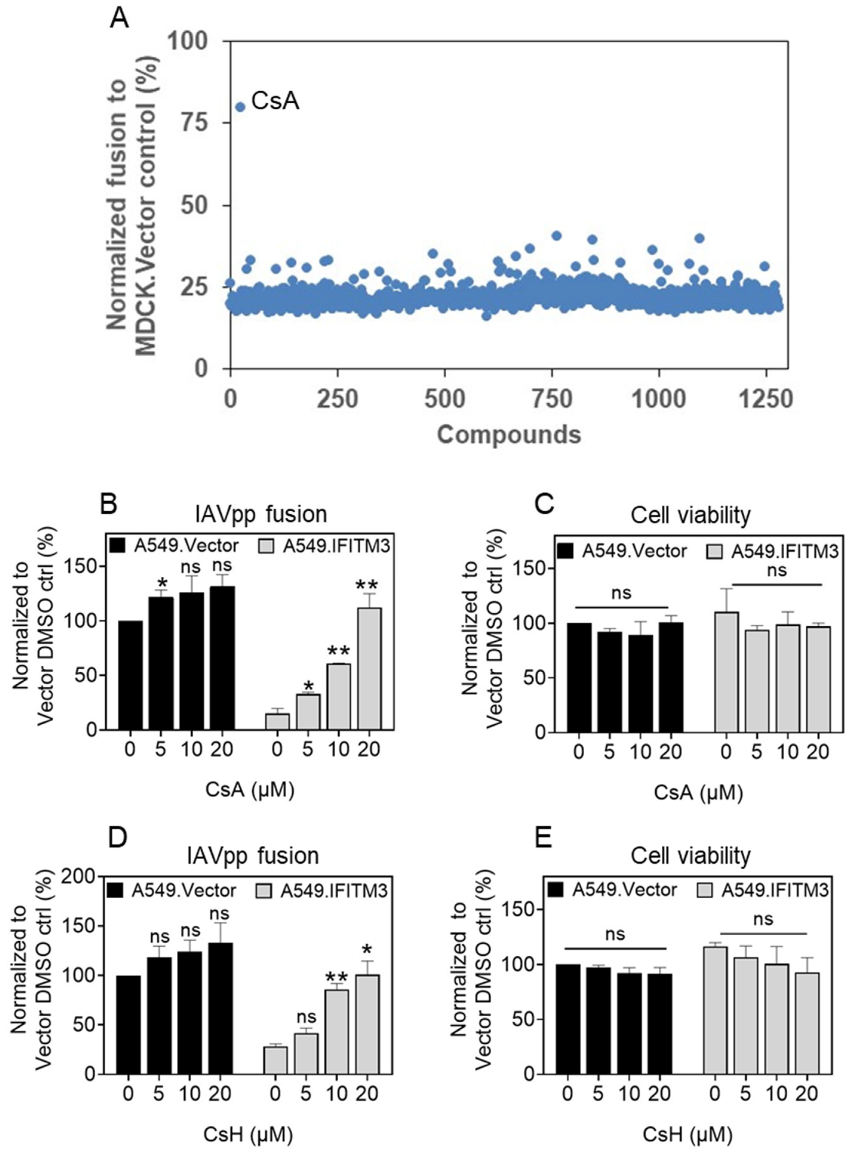 Biomolecules 13 00937 g001