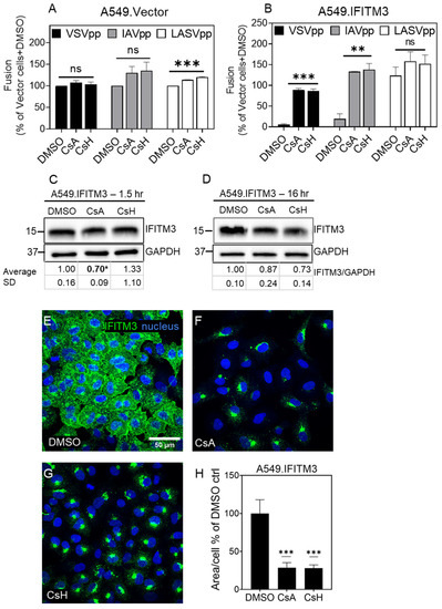 Biomolecules 13 00937 g002