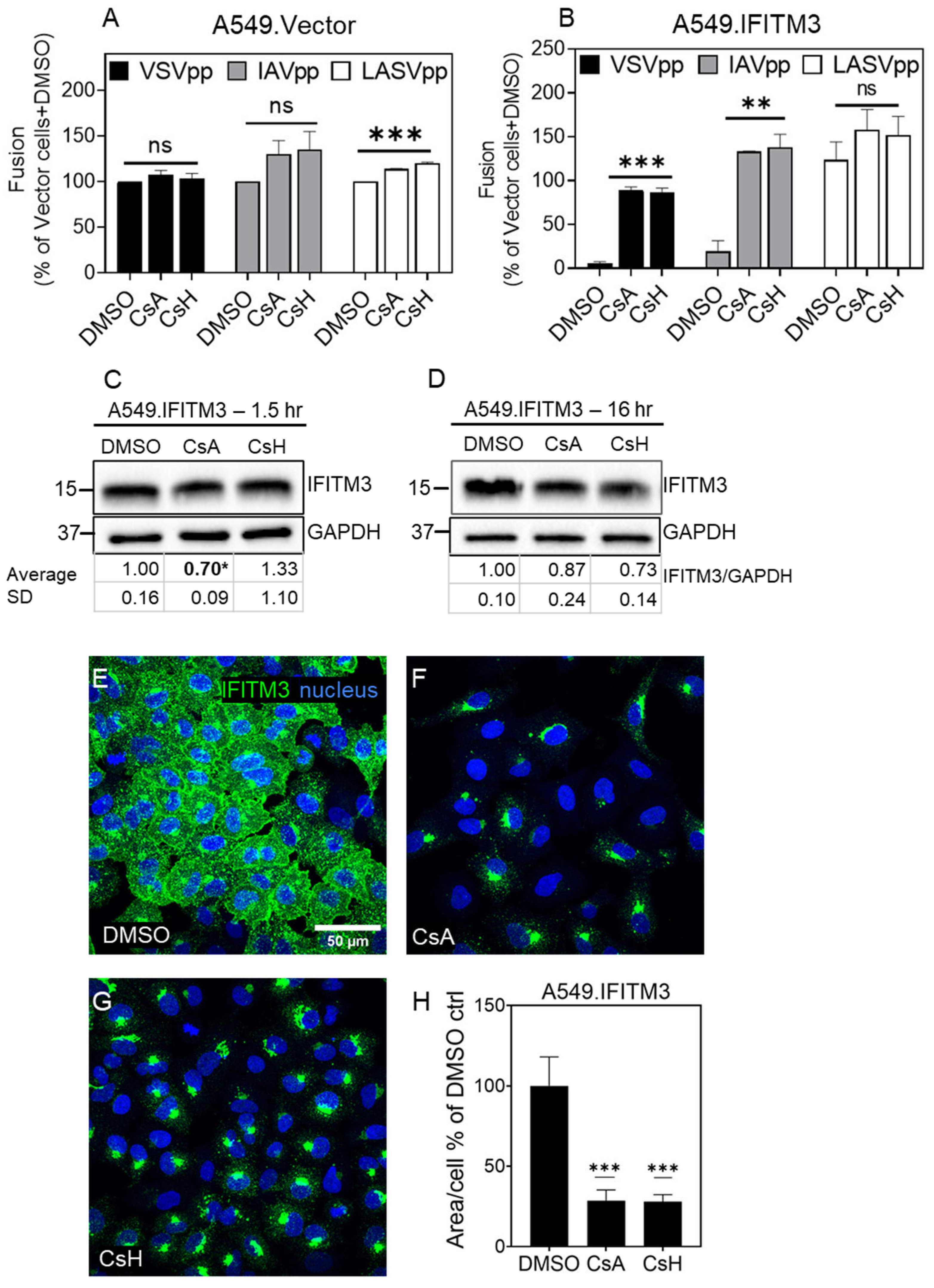 Biomolecules 13 00937 g002