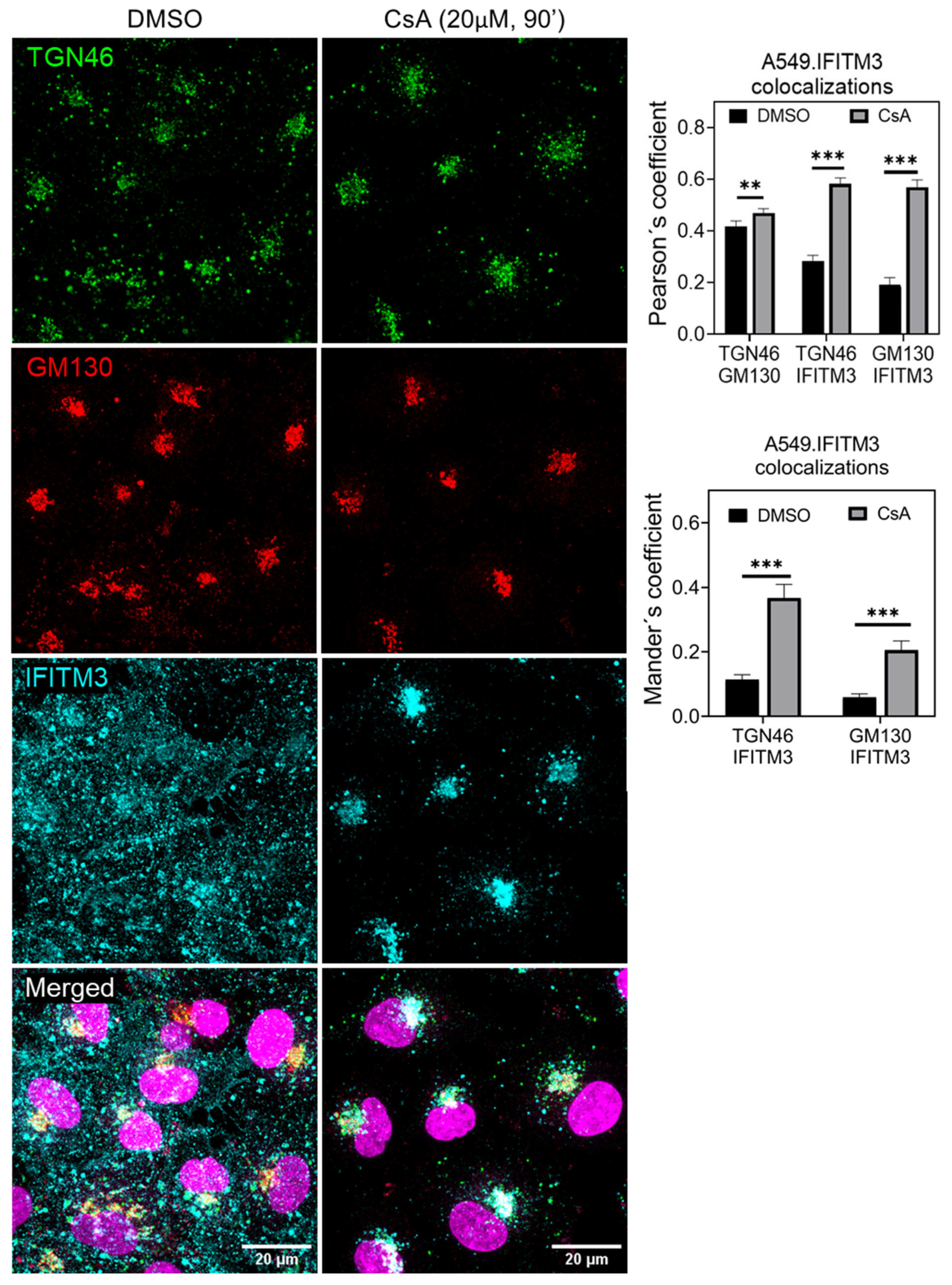 Biomolecules 13 00937 g003