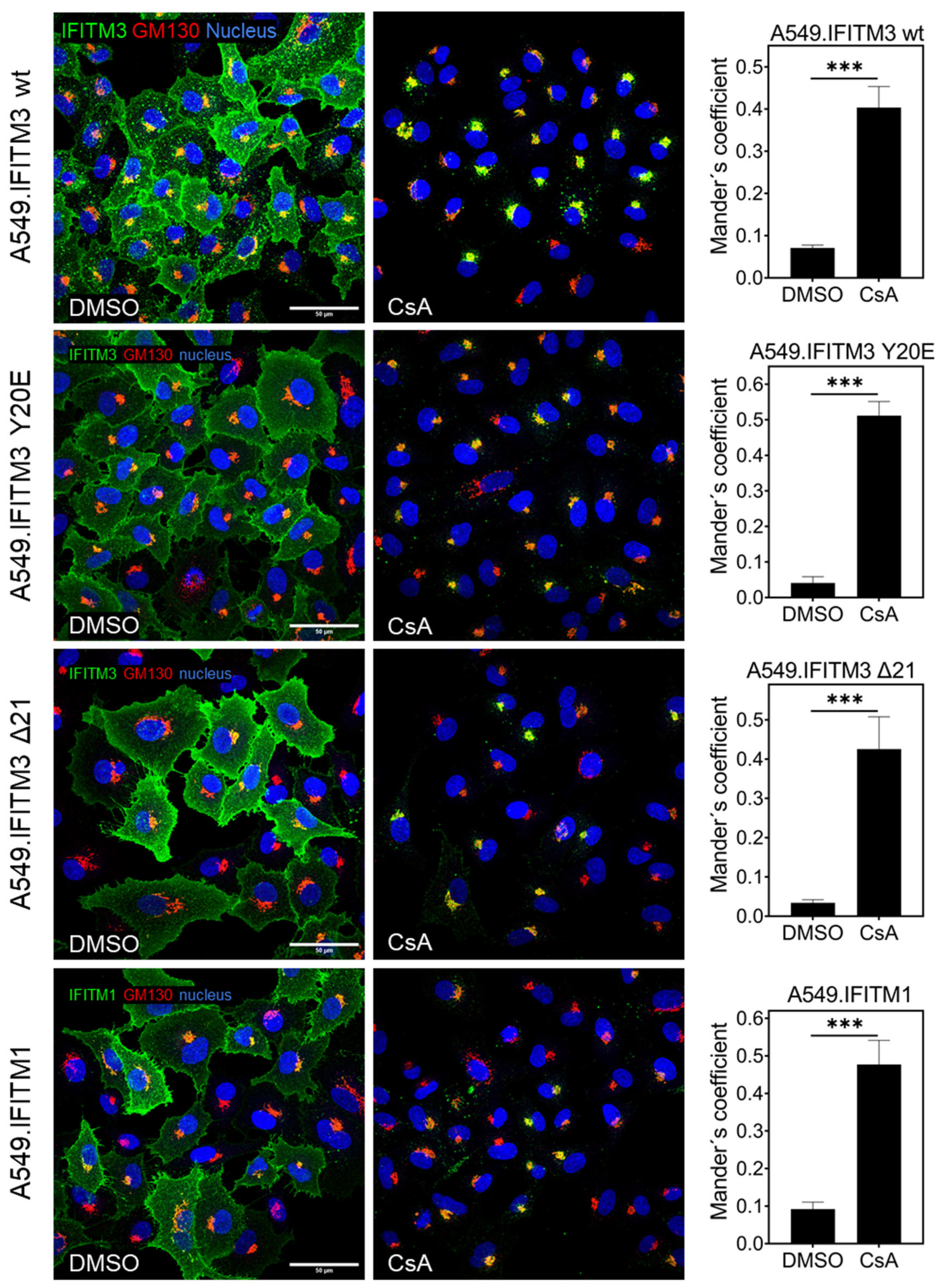 Biomolecules 13 00937 g004