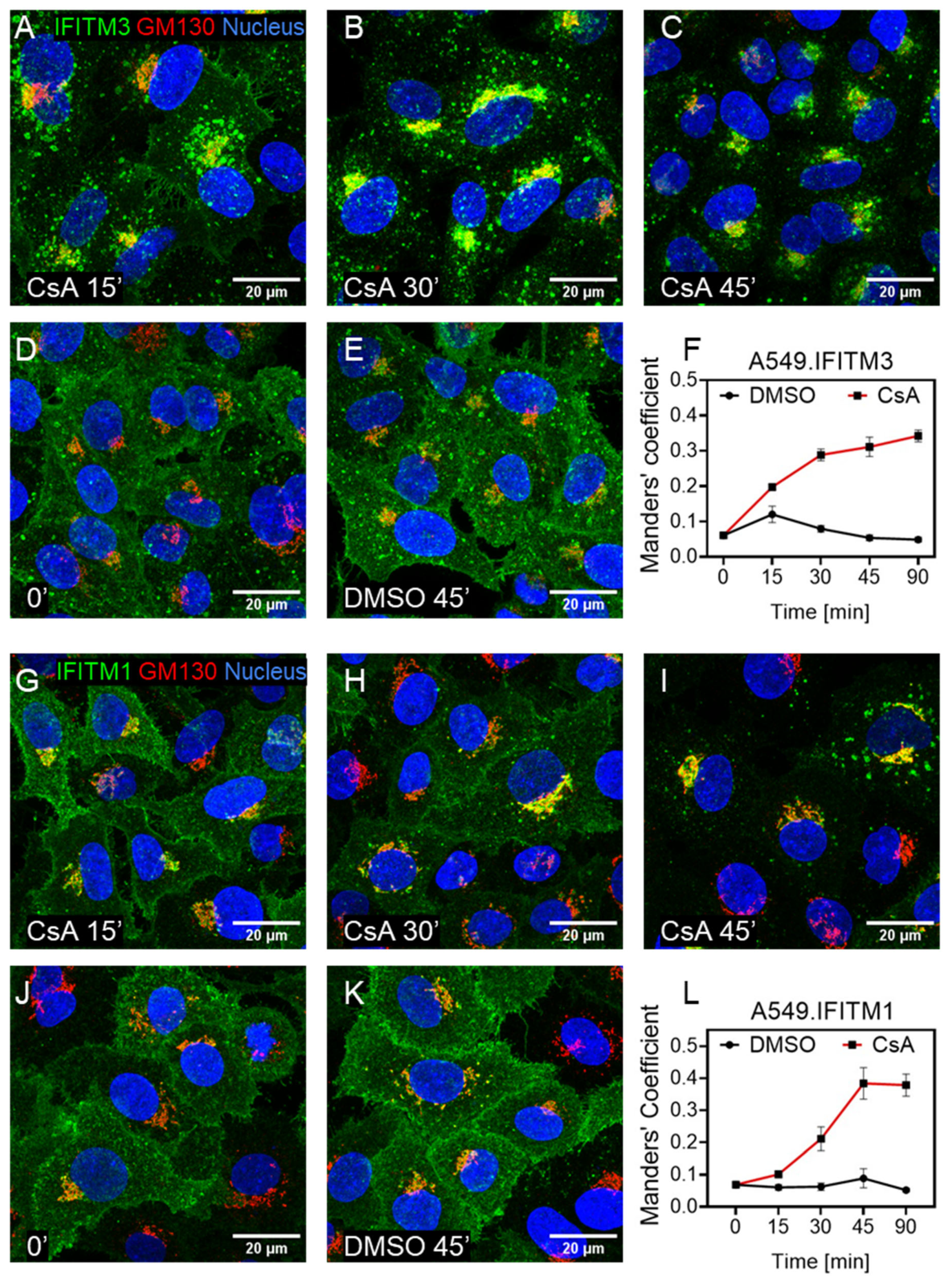 Biomolecules 13 00937 g005
