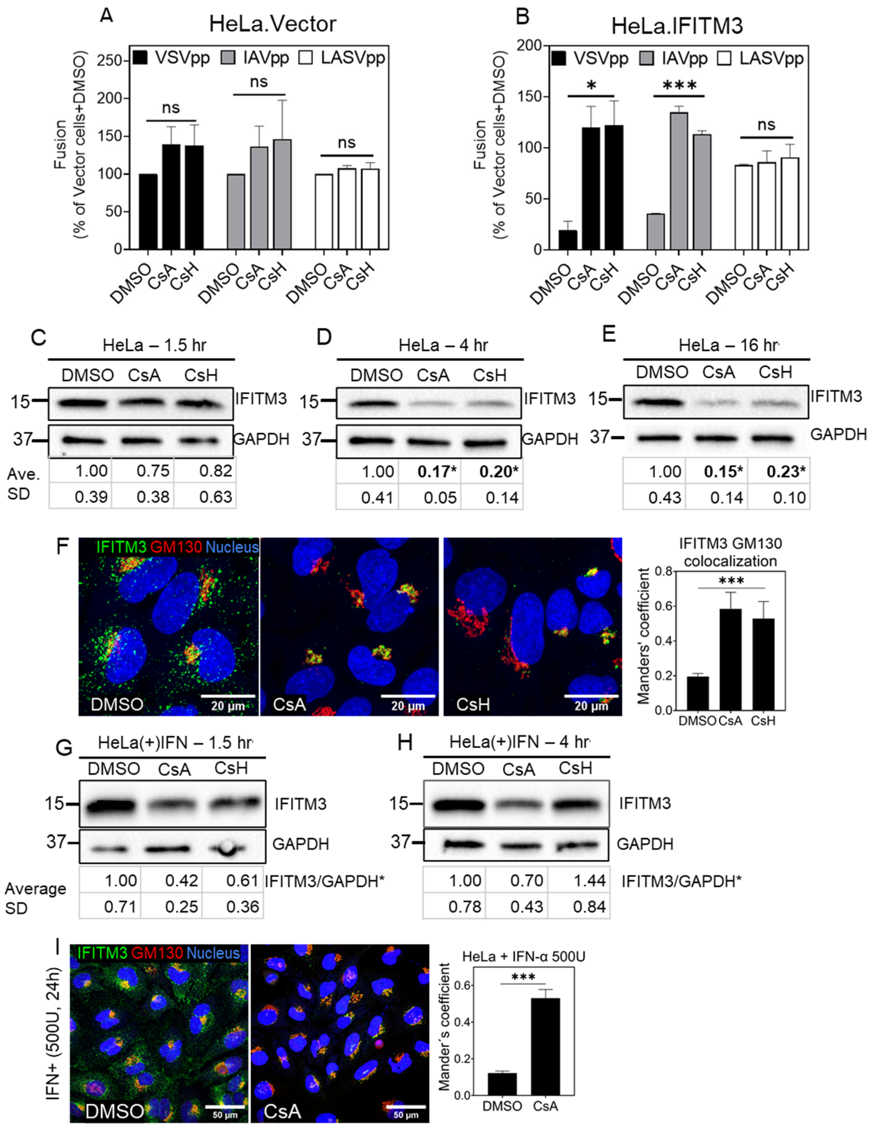 Biomolecules 13 00937 g006