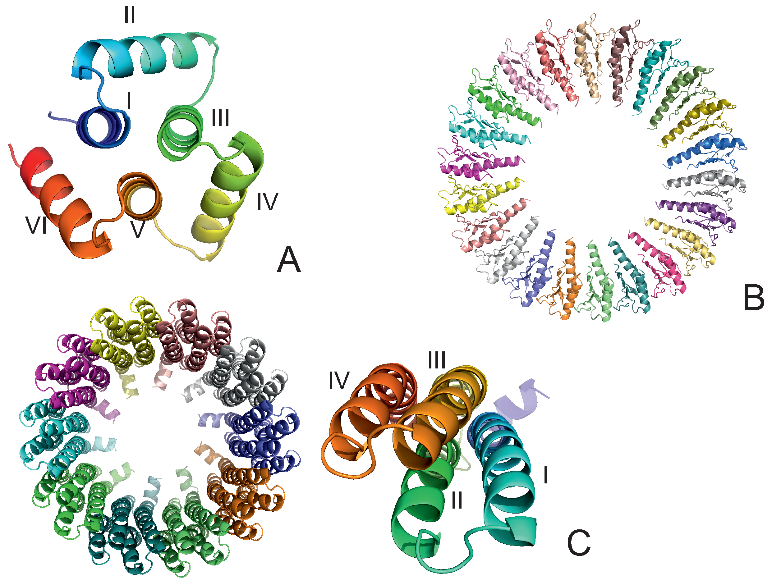 Biomolecules 13 00941 g001