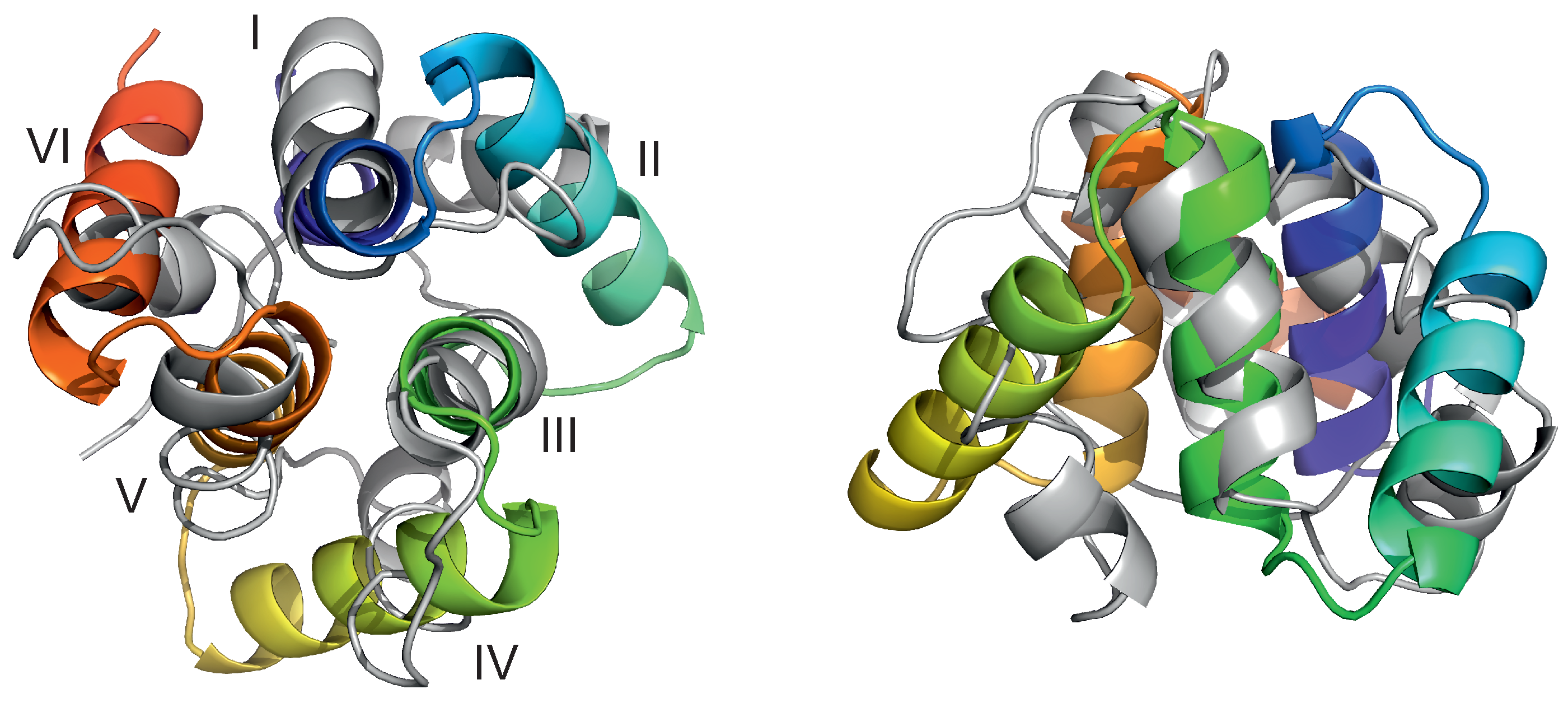 Biomolecules 13 00941 g003