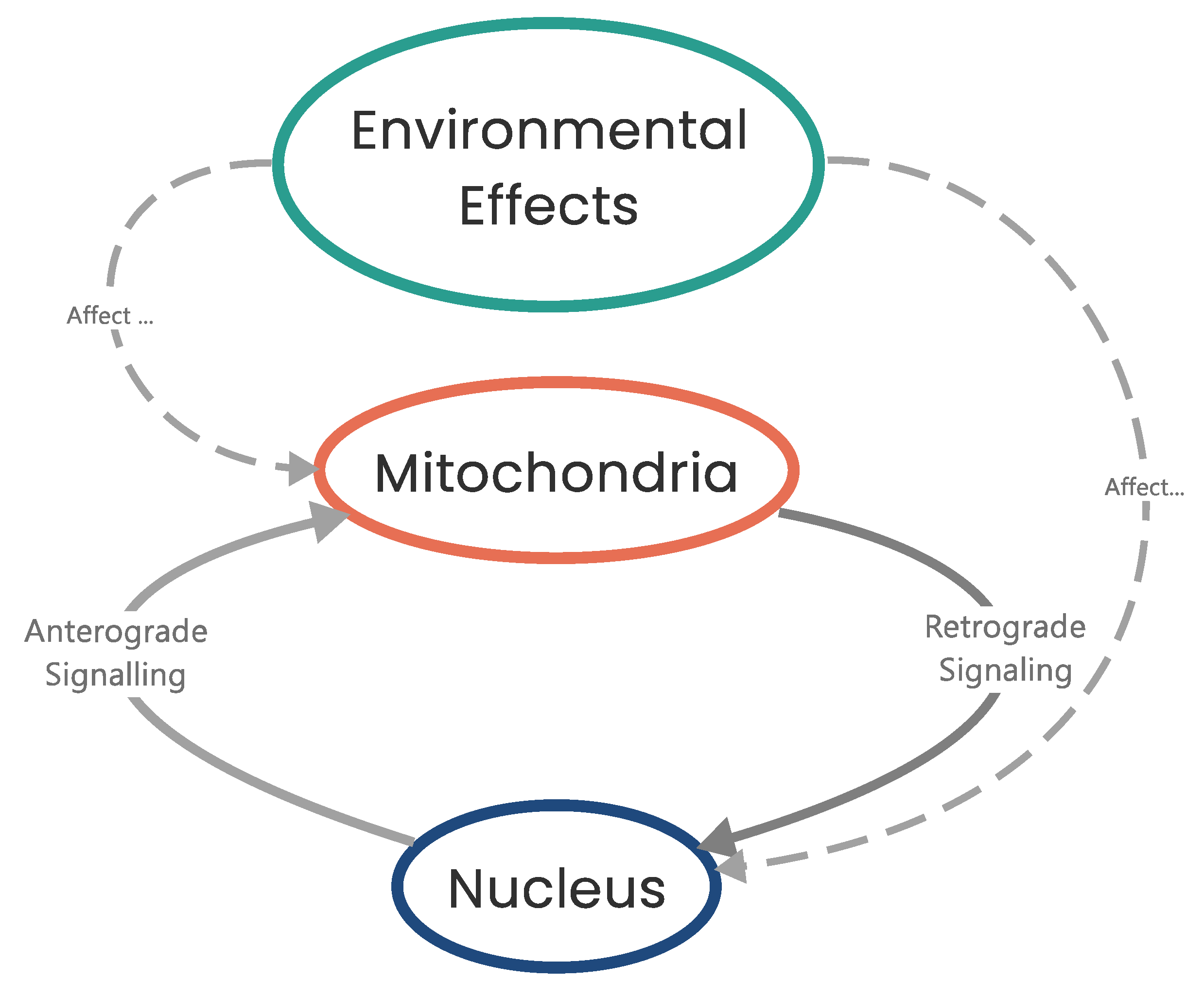 Biomolecules 13 00944 g004