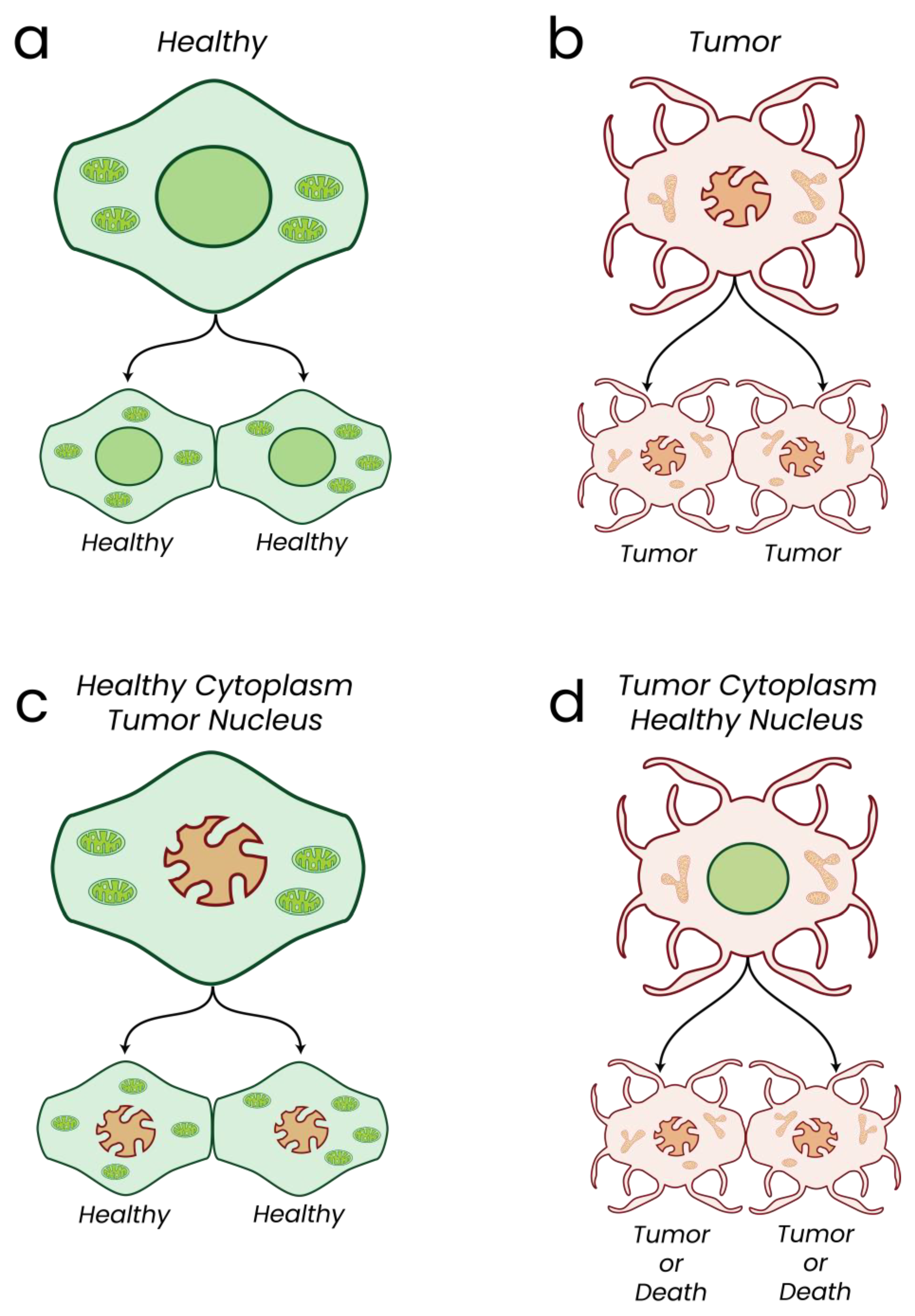 Biomolecules 13 00944 g008