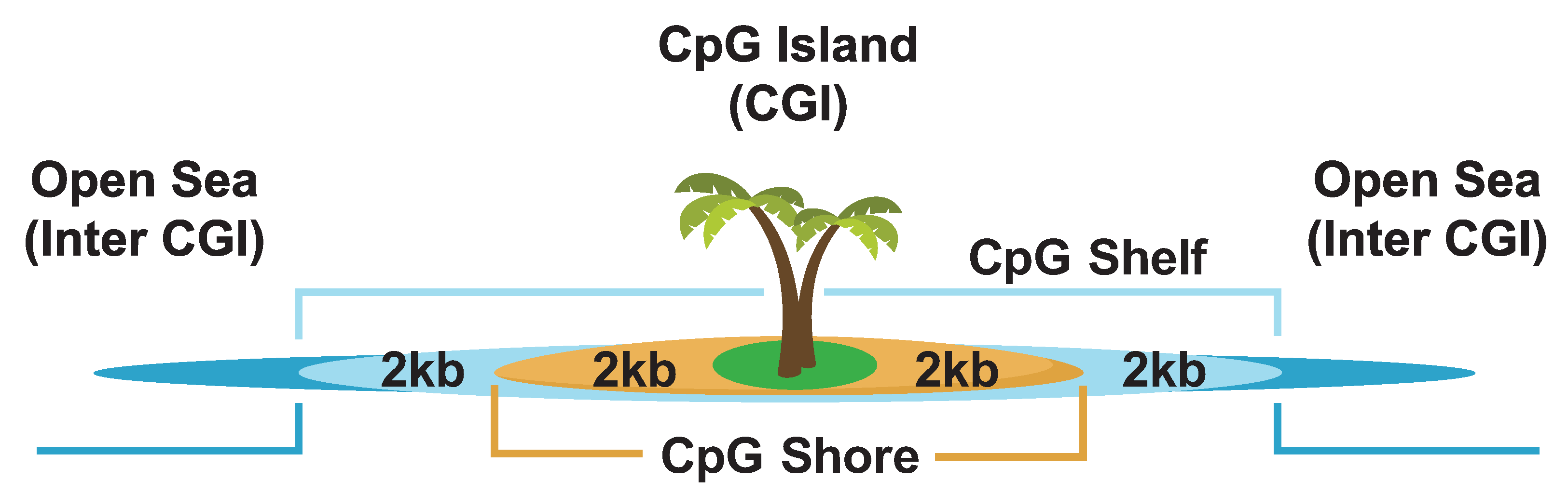 Biomolecules 13 00944 g011