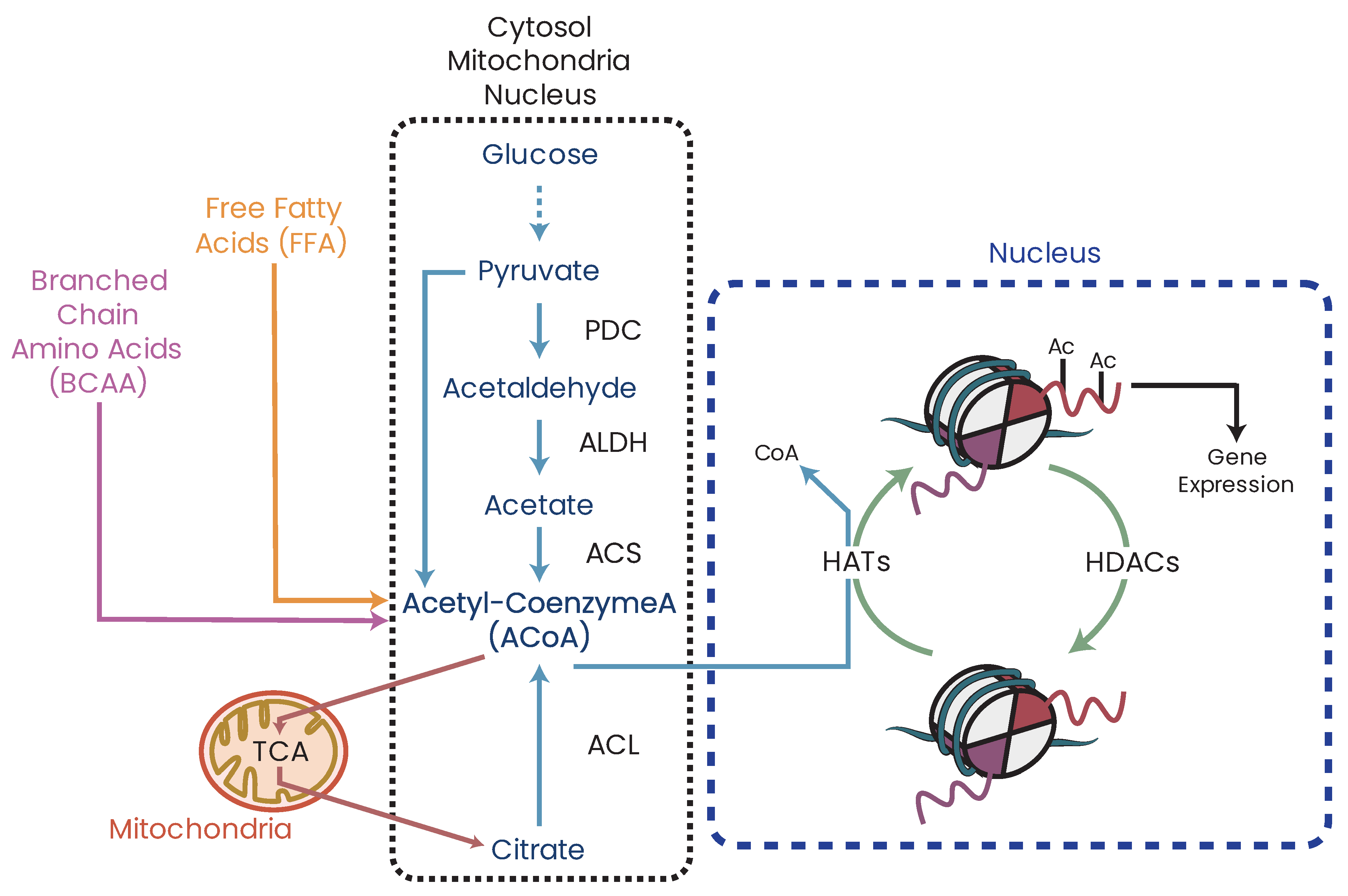 Biomolecules 13 00944 g013