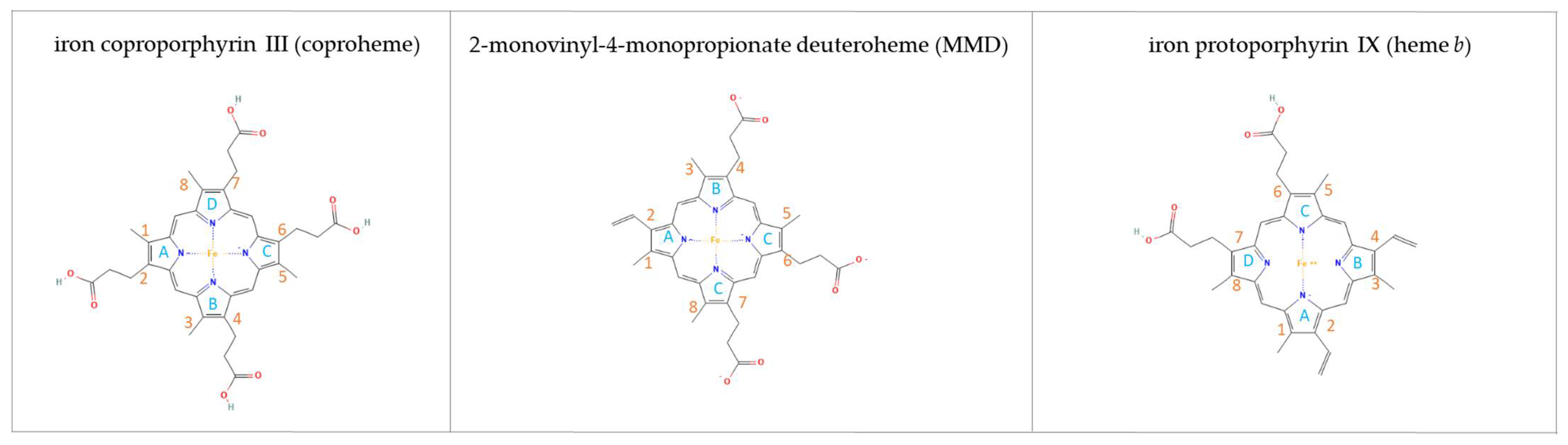 Biomolecules 13 00946 g001 Biomolecules 13 00946 g001