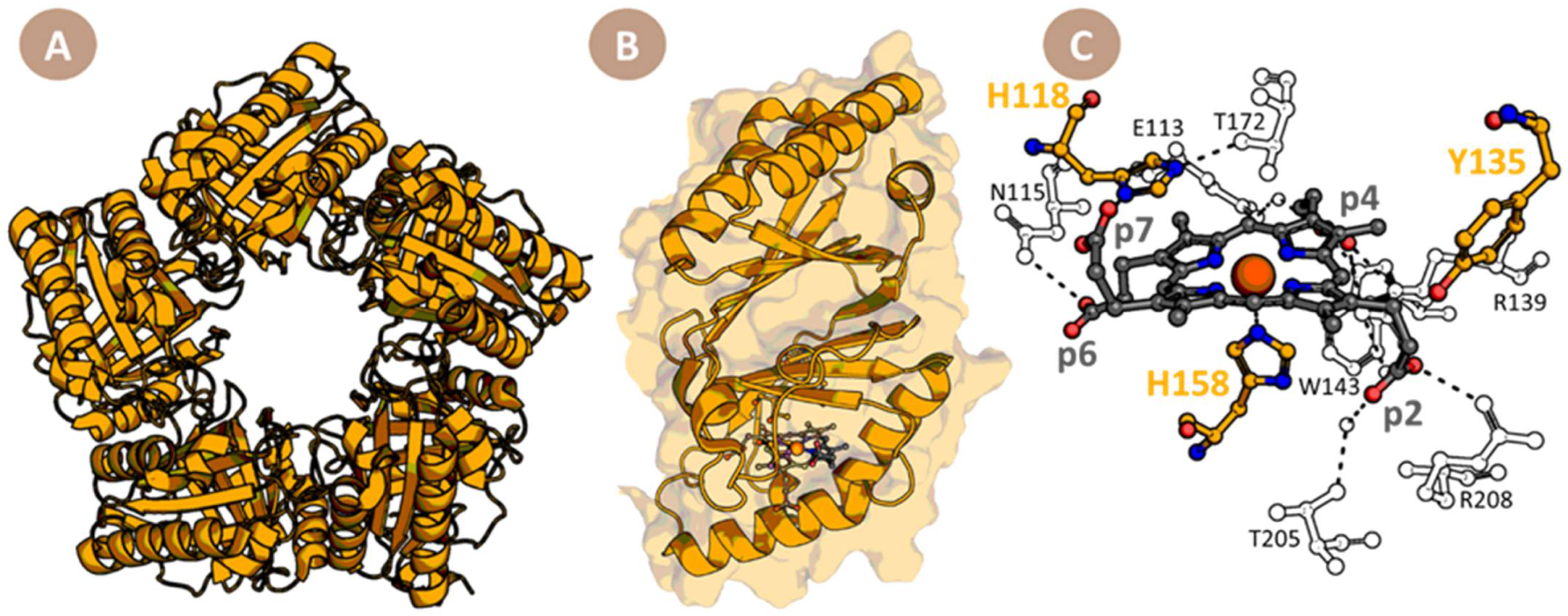 Biomolecules 13 00946 g002 Biomolecules 13 00946 g002
