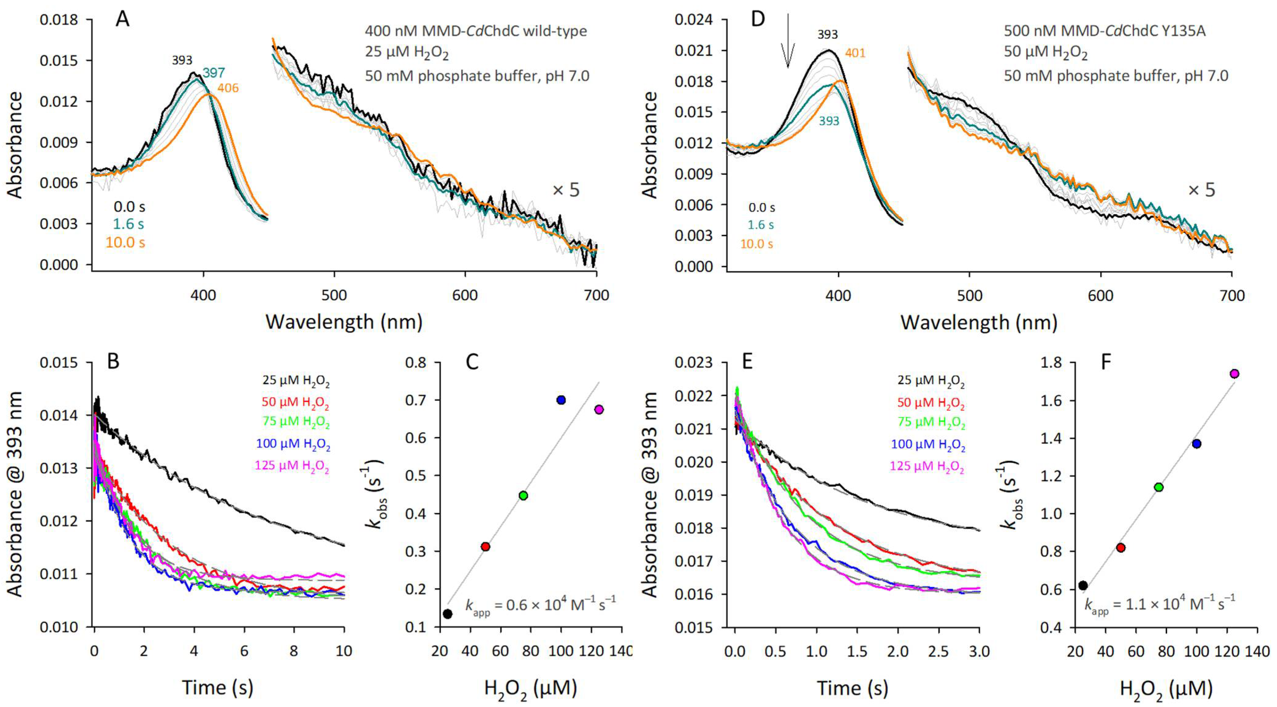 Biomolecules 13 00946 g005 Biomolecules 13 00946 g005