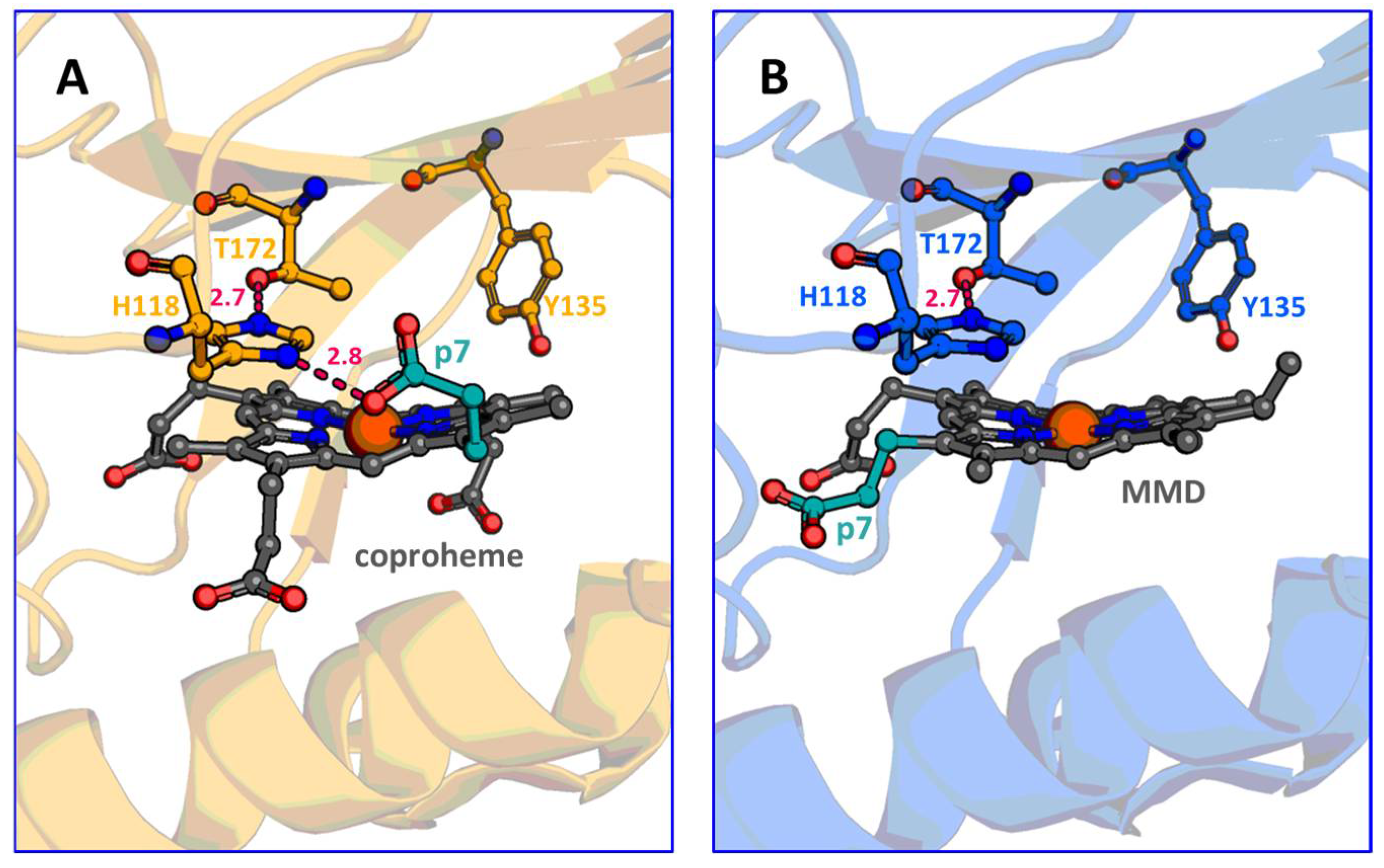 Biomolecules 13 00946 g006 Biomolecules 13 00946 g006
