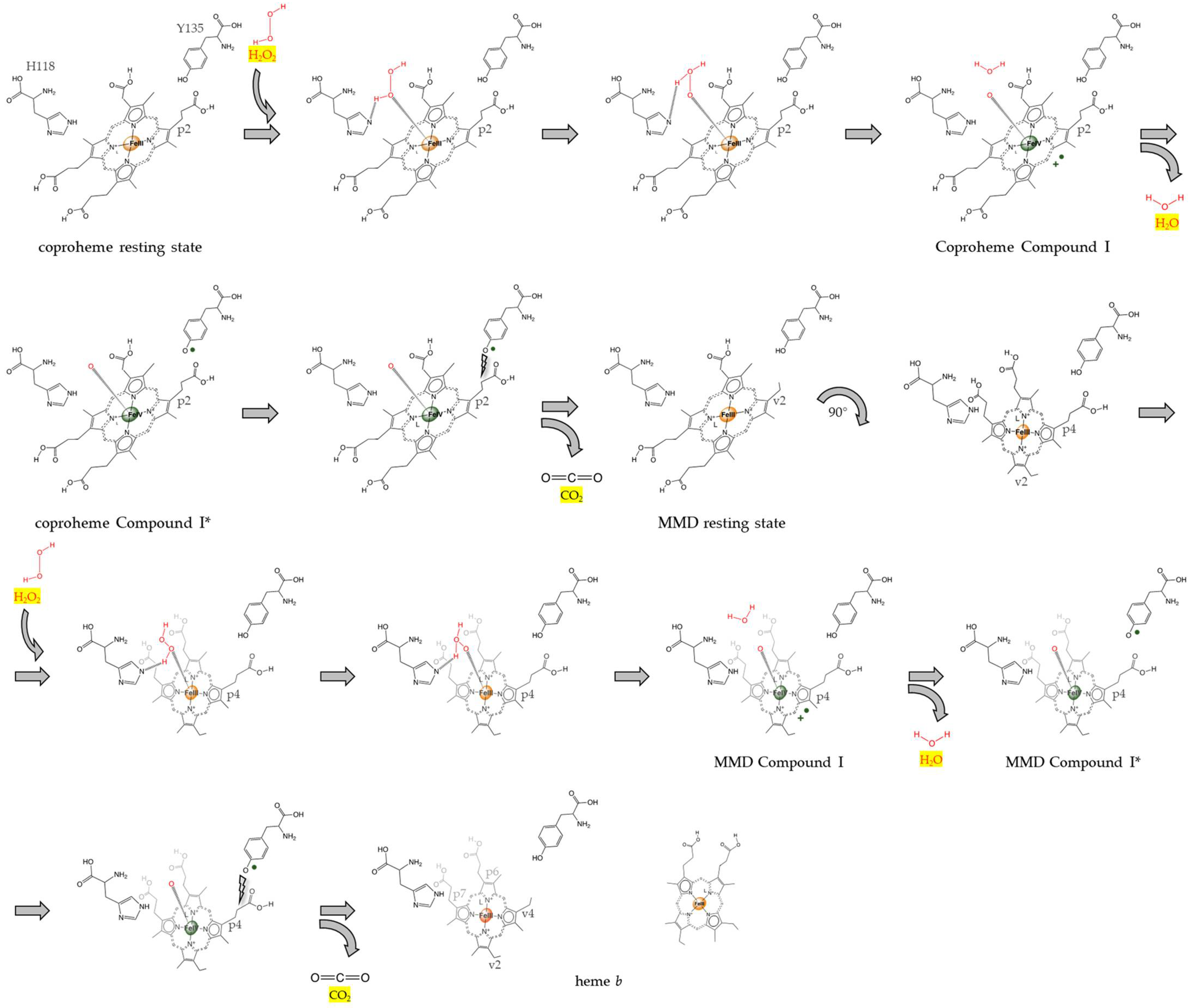Biomolecules 13 00946 sch001 Biomolecules 13 00946 sch001