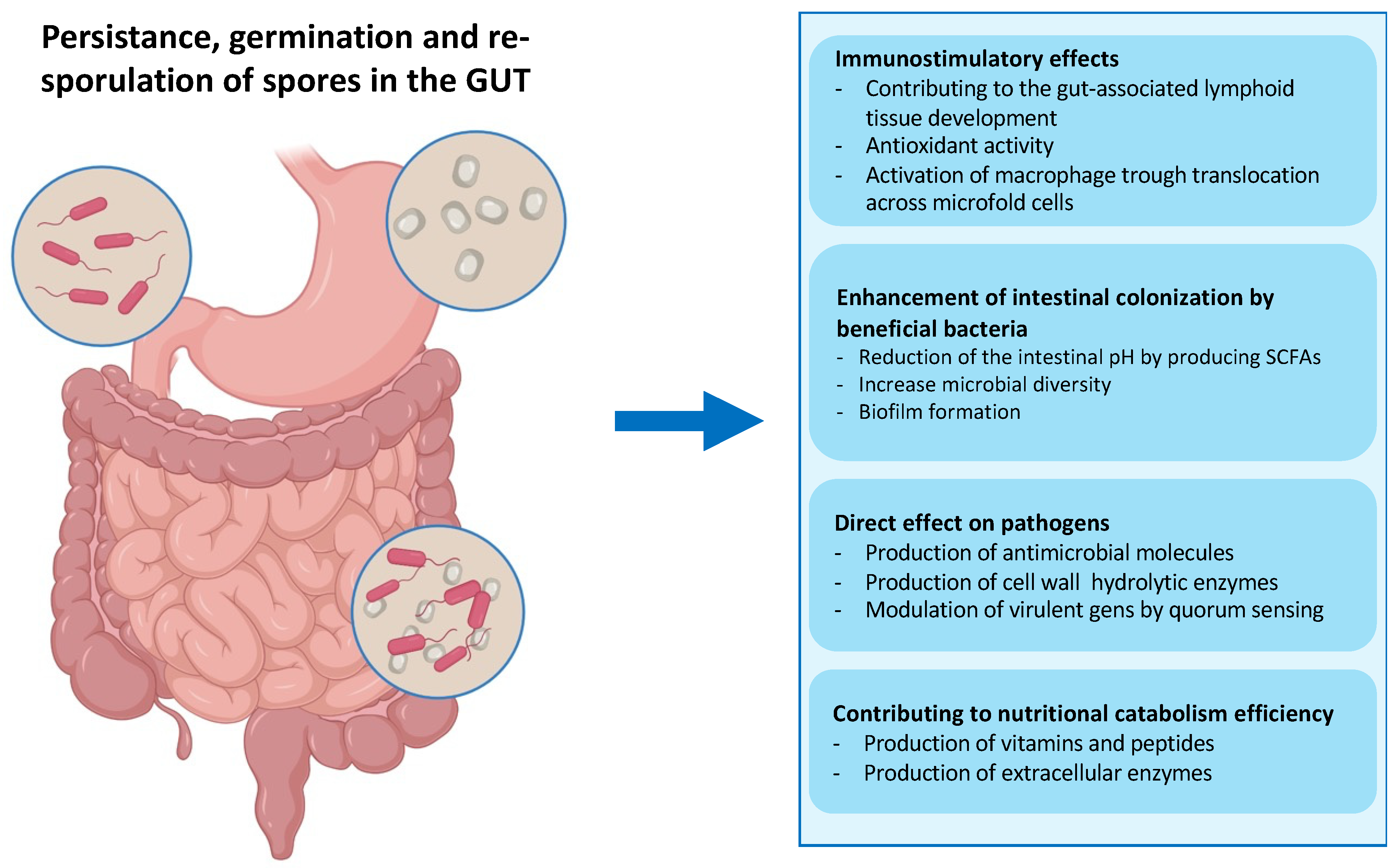 Biomolecules 13 00947 g004 Biomolecules 13 00947 g004