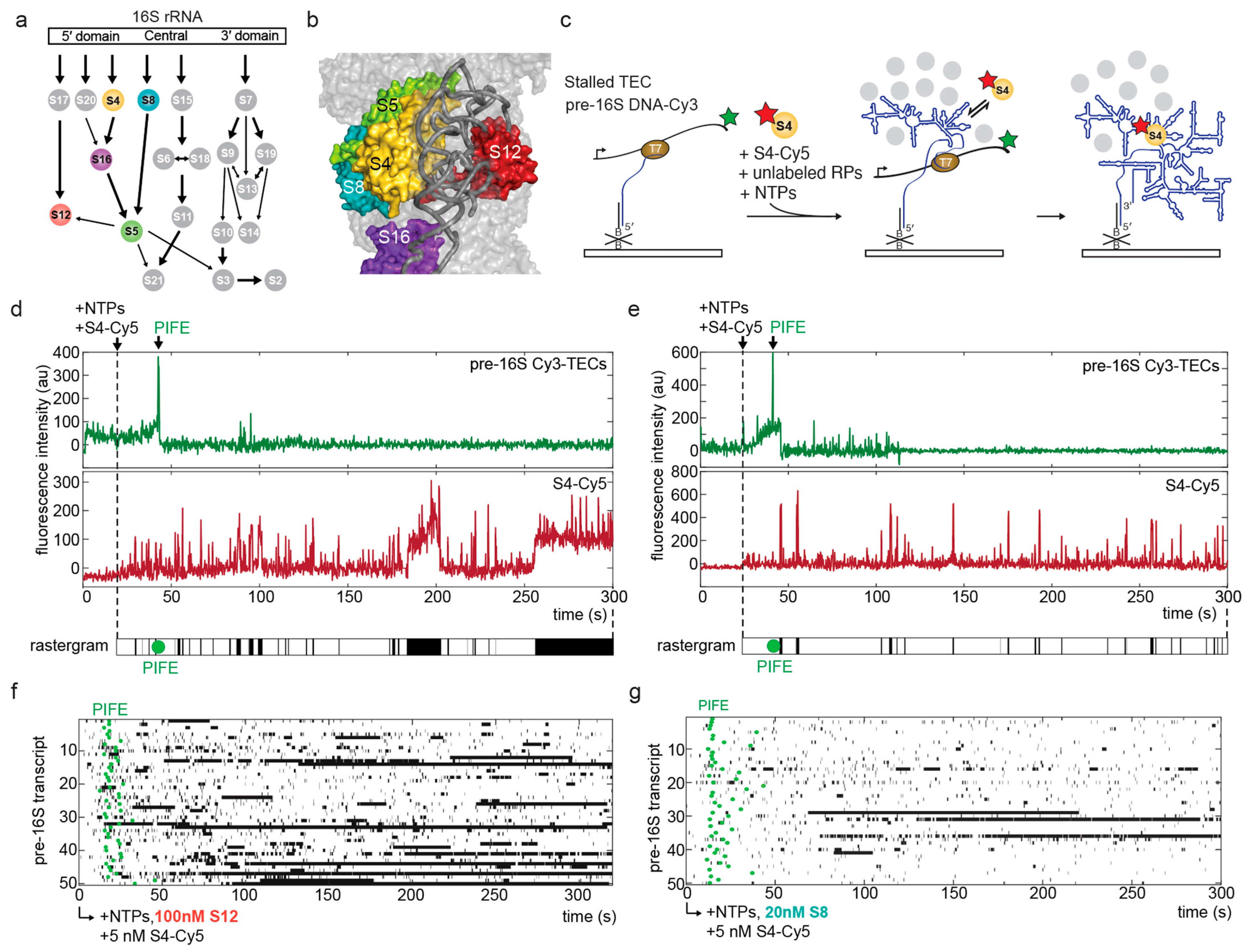 Biomolecules 13 00951 g001