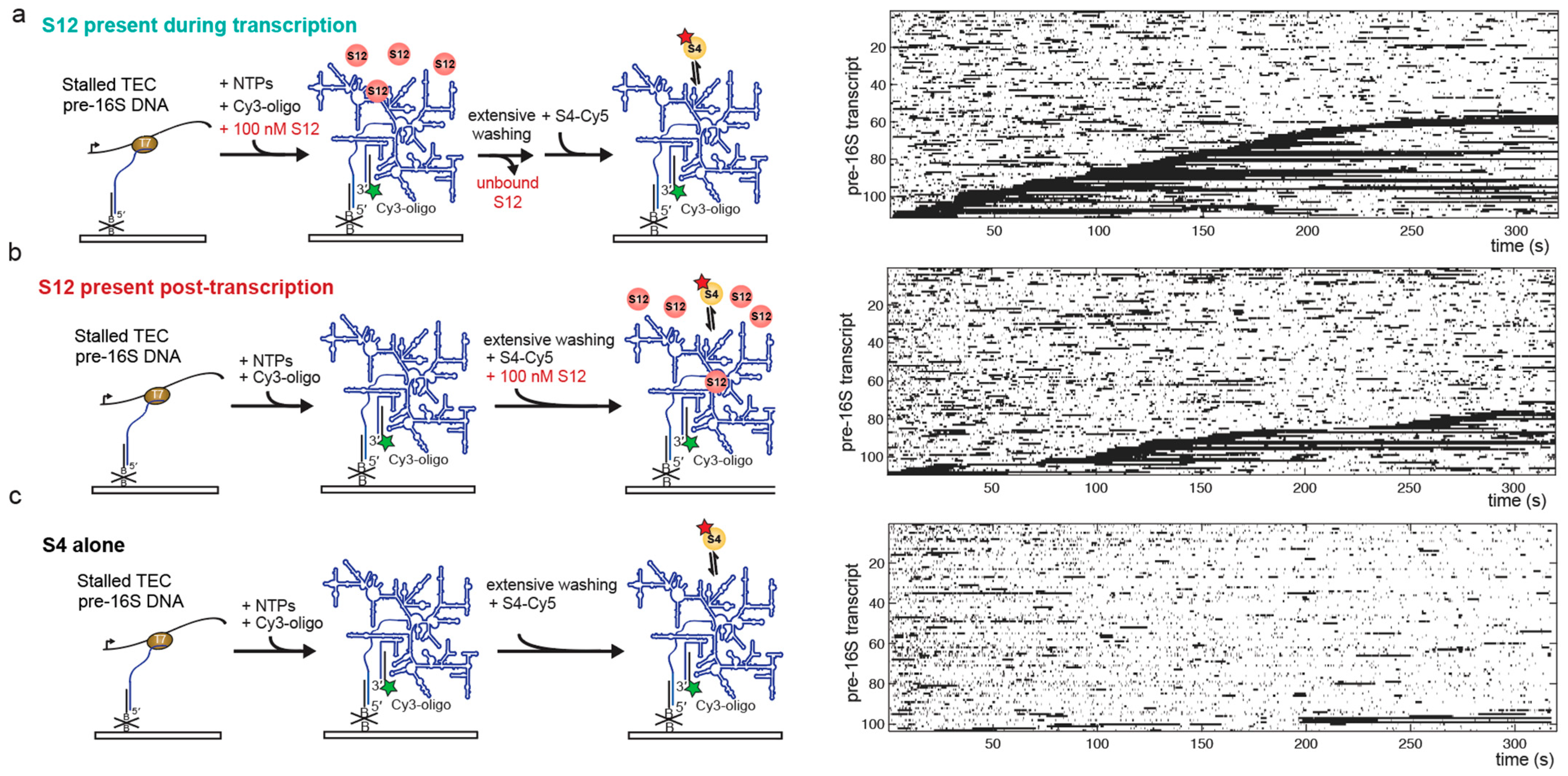 Biomolecules 13 00951 g004