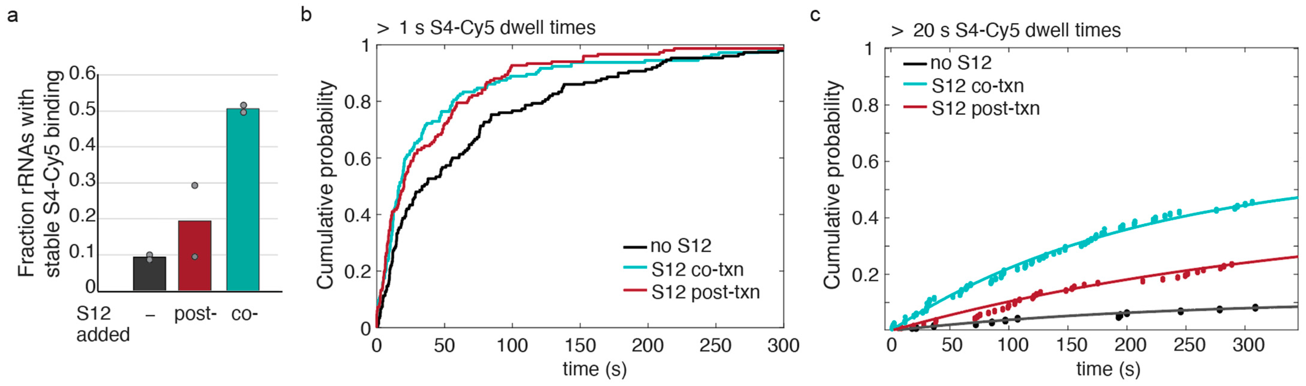 Biomolecules 13 00951 g005