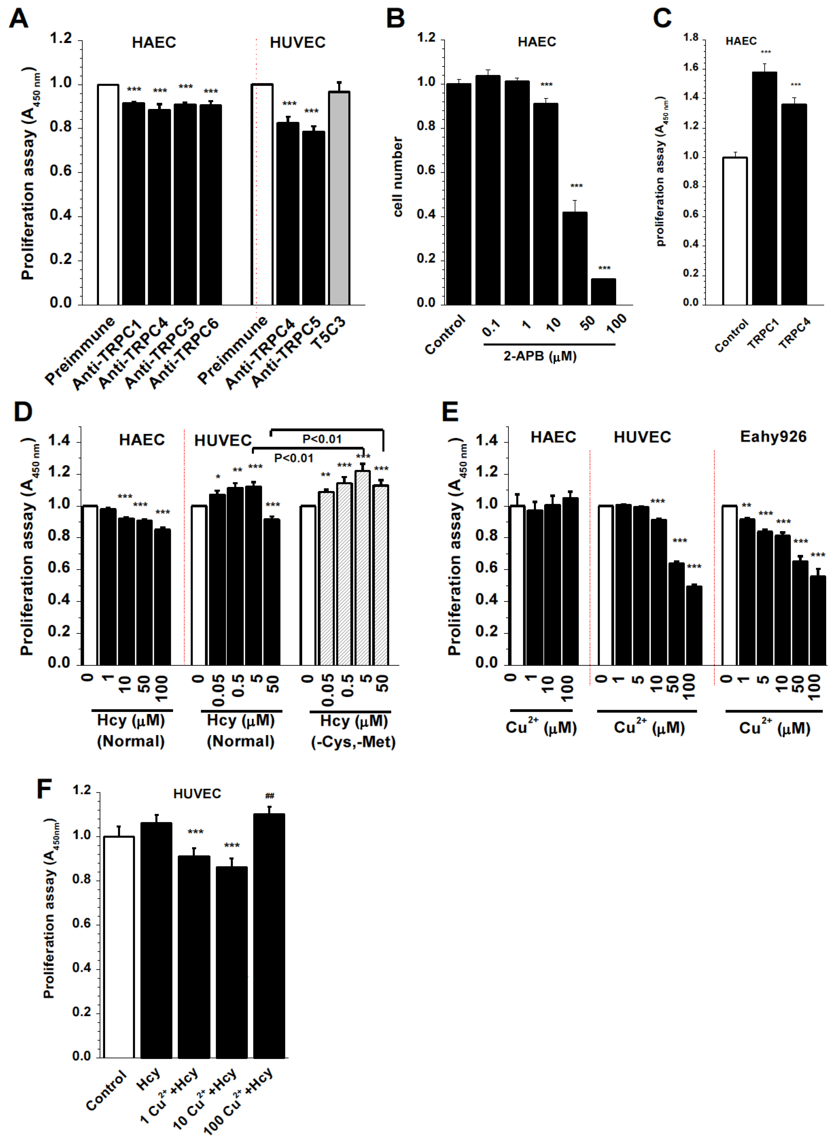 Biomolecules 13 00952 g007 Biomolecules 13 00952 g007