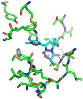 Biomolecules 13 00956 i008