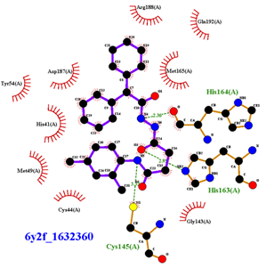 Biomolecules 13 00956 i009