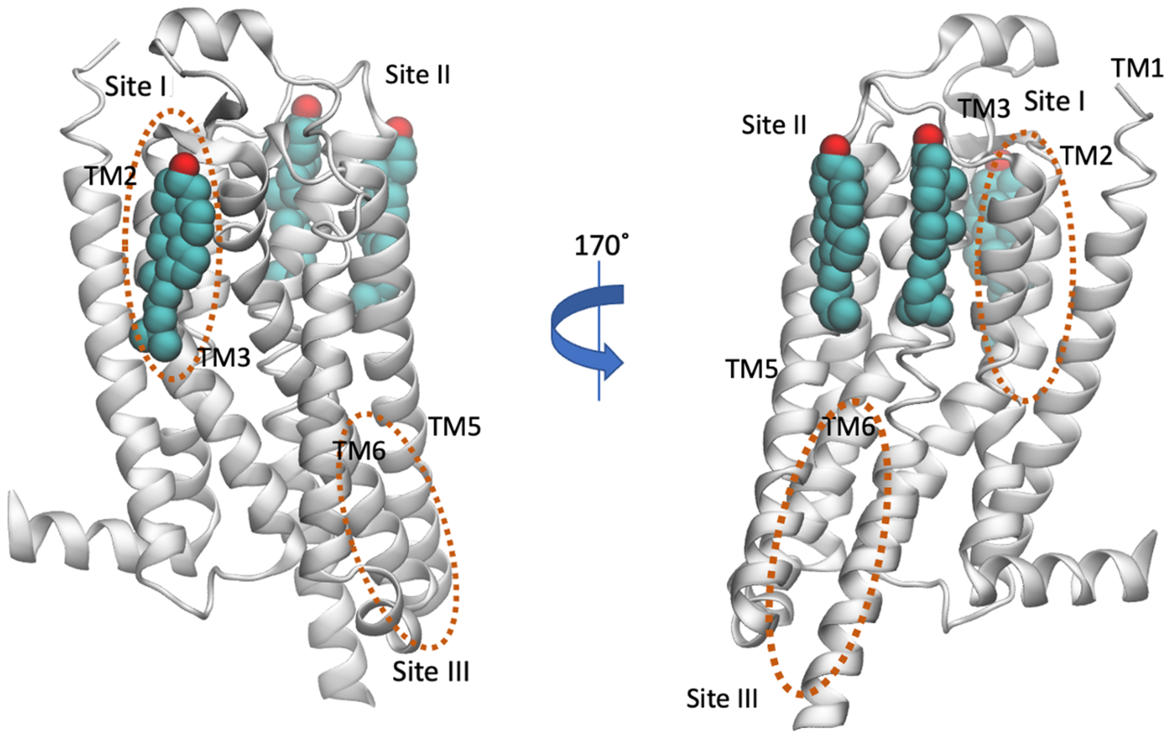 Biomolecules 13 00957 g005