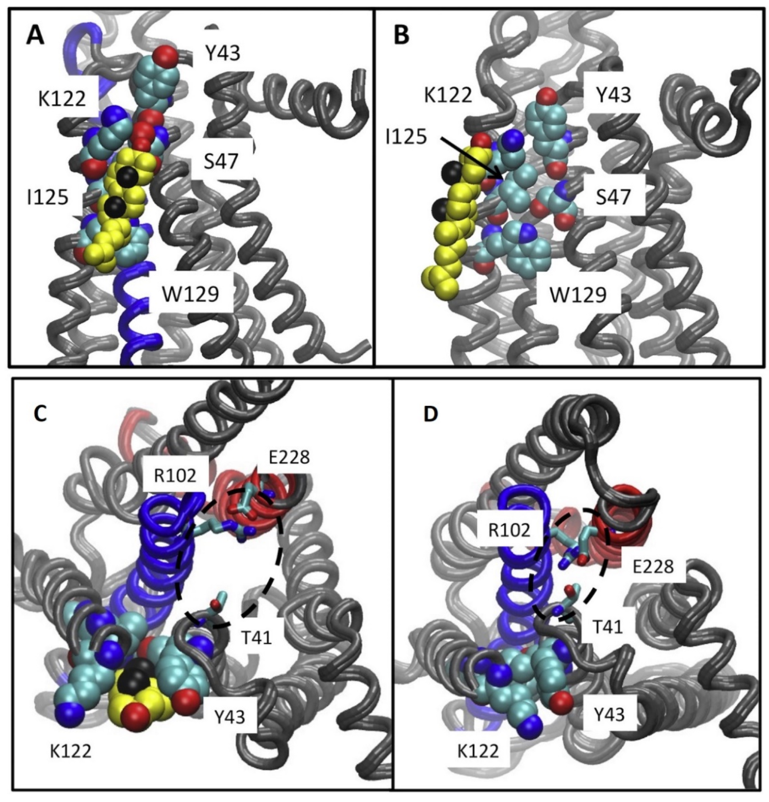 Biomolecules 13 00957 g008