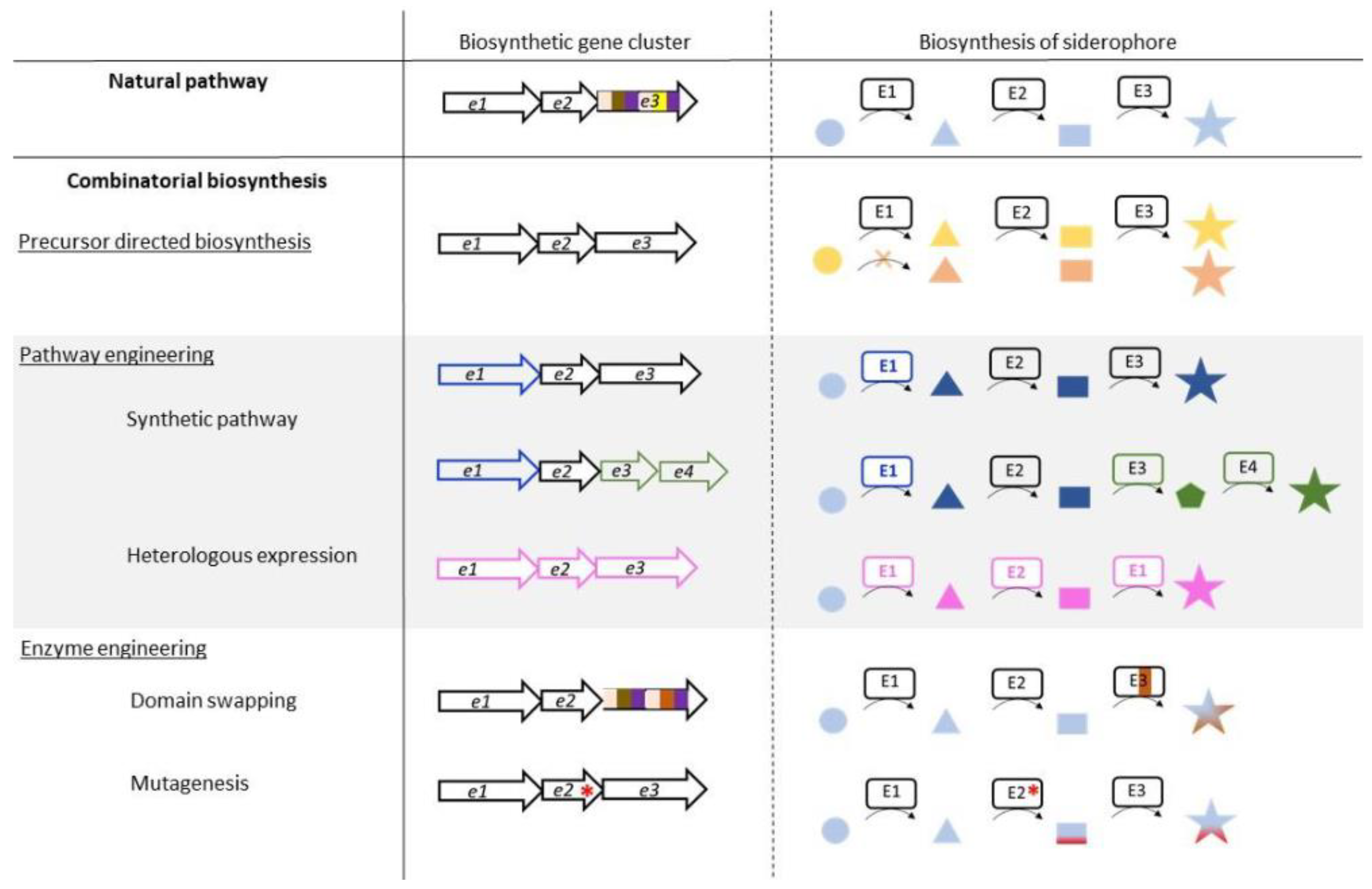 Biomolecules 13 00959 g001