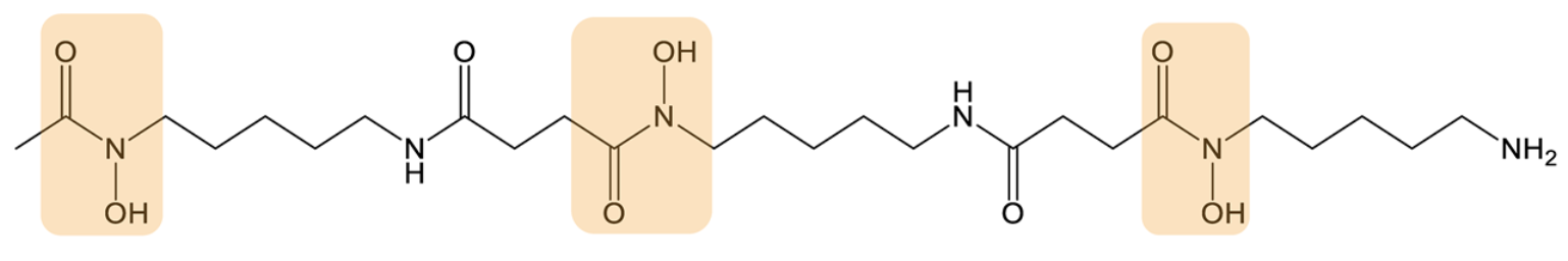 Biomolecules 13 00959 i003