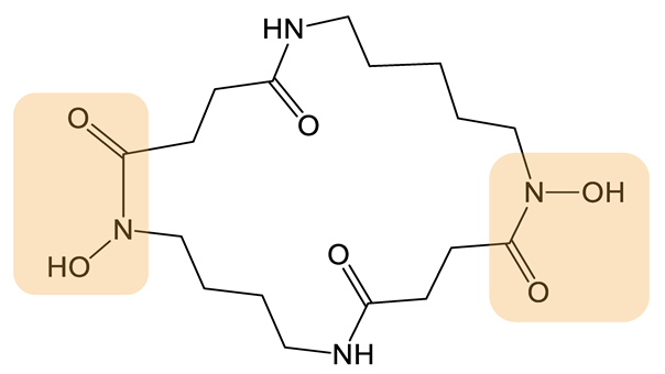 Biomolecules 13 00959 i006