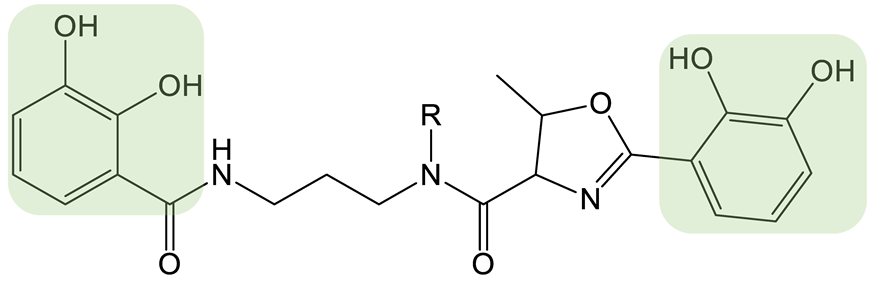 Biomolecules 13 00959 i014