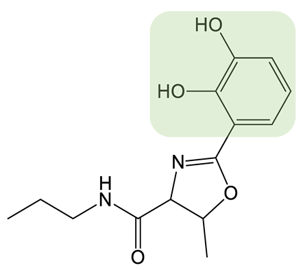Biomolecules 13 00959 i015