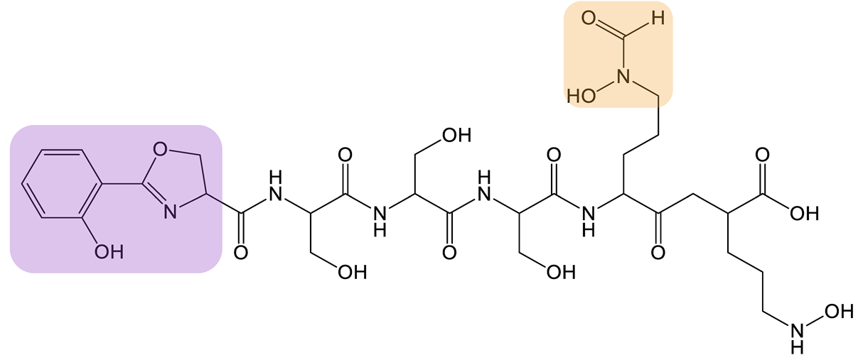 Biomolecules 13 00959 i017