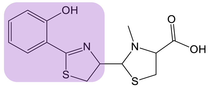Biomolecules 13 00959 i019