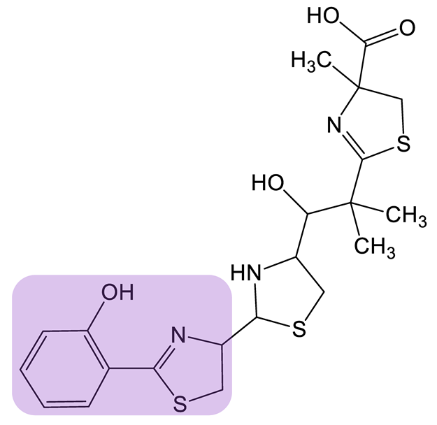 Biomolecules 13 00959 i021